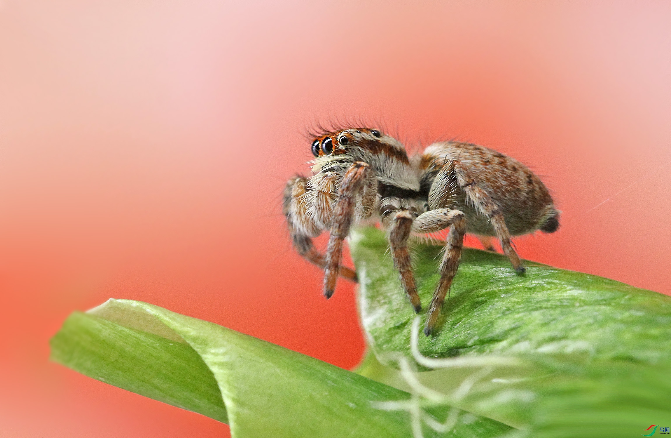 0N2A3704 ����.jpg