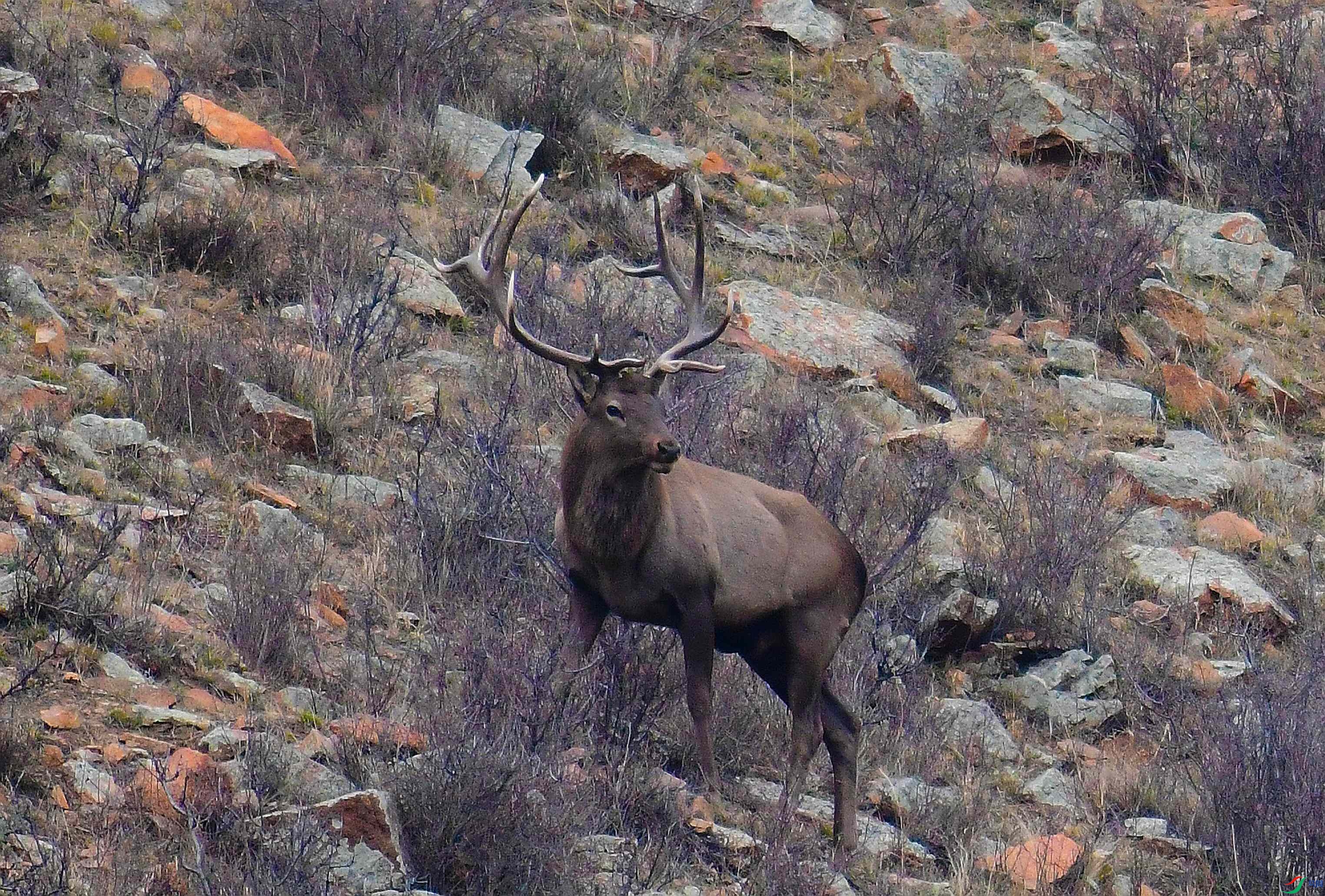 DSC_2404.JPG