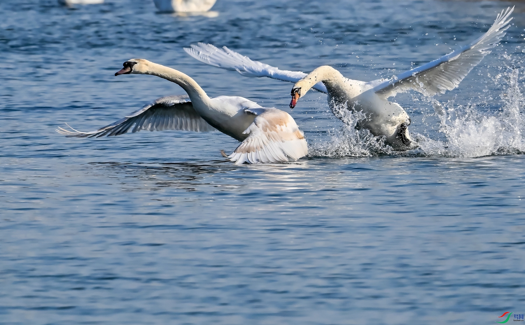 DSC_7019׷��.jpg