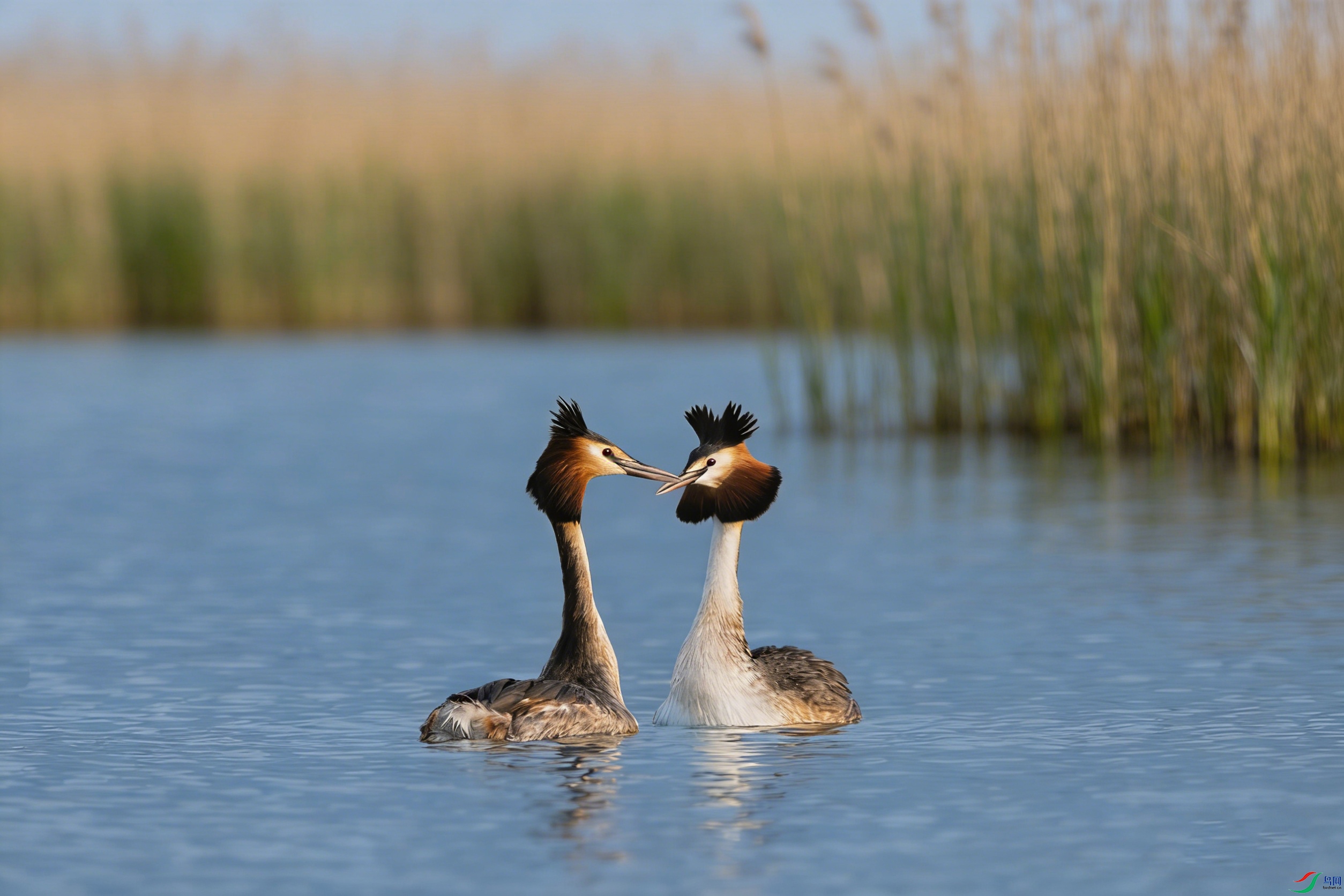 _DSC8043 ����12.jpg