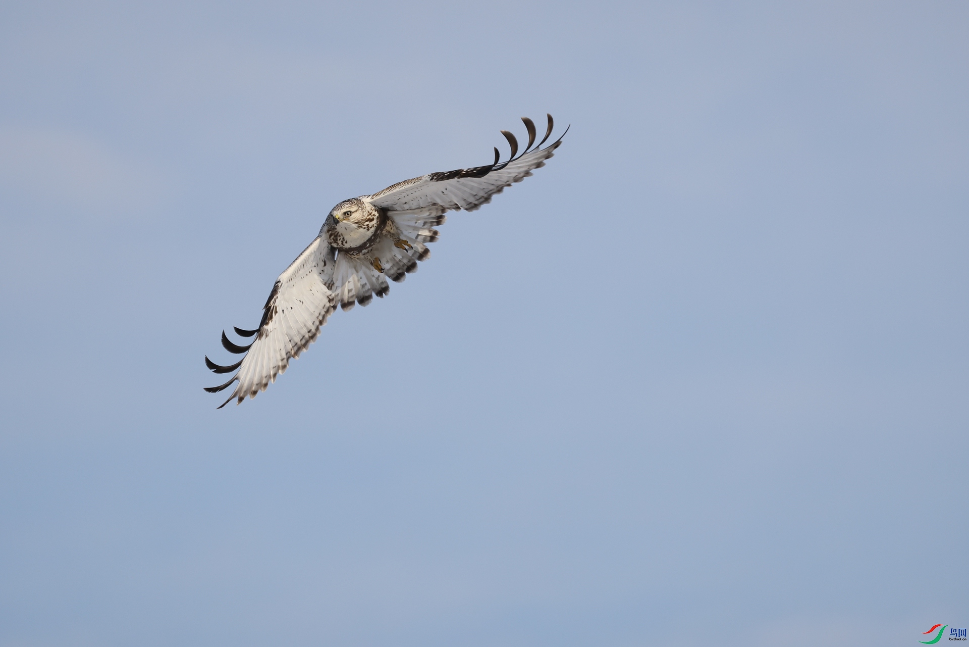 3Q6A6911.JPG