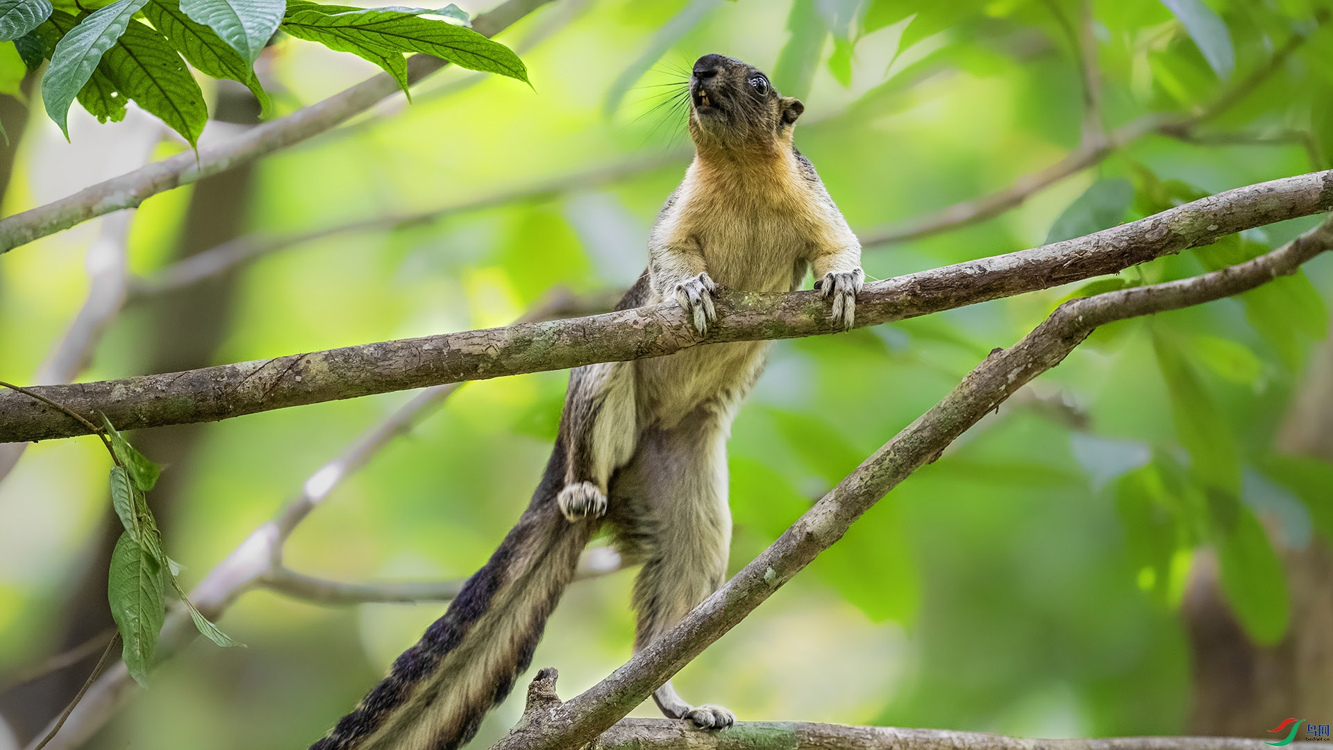 DSC_5134 ����.jpg