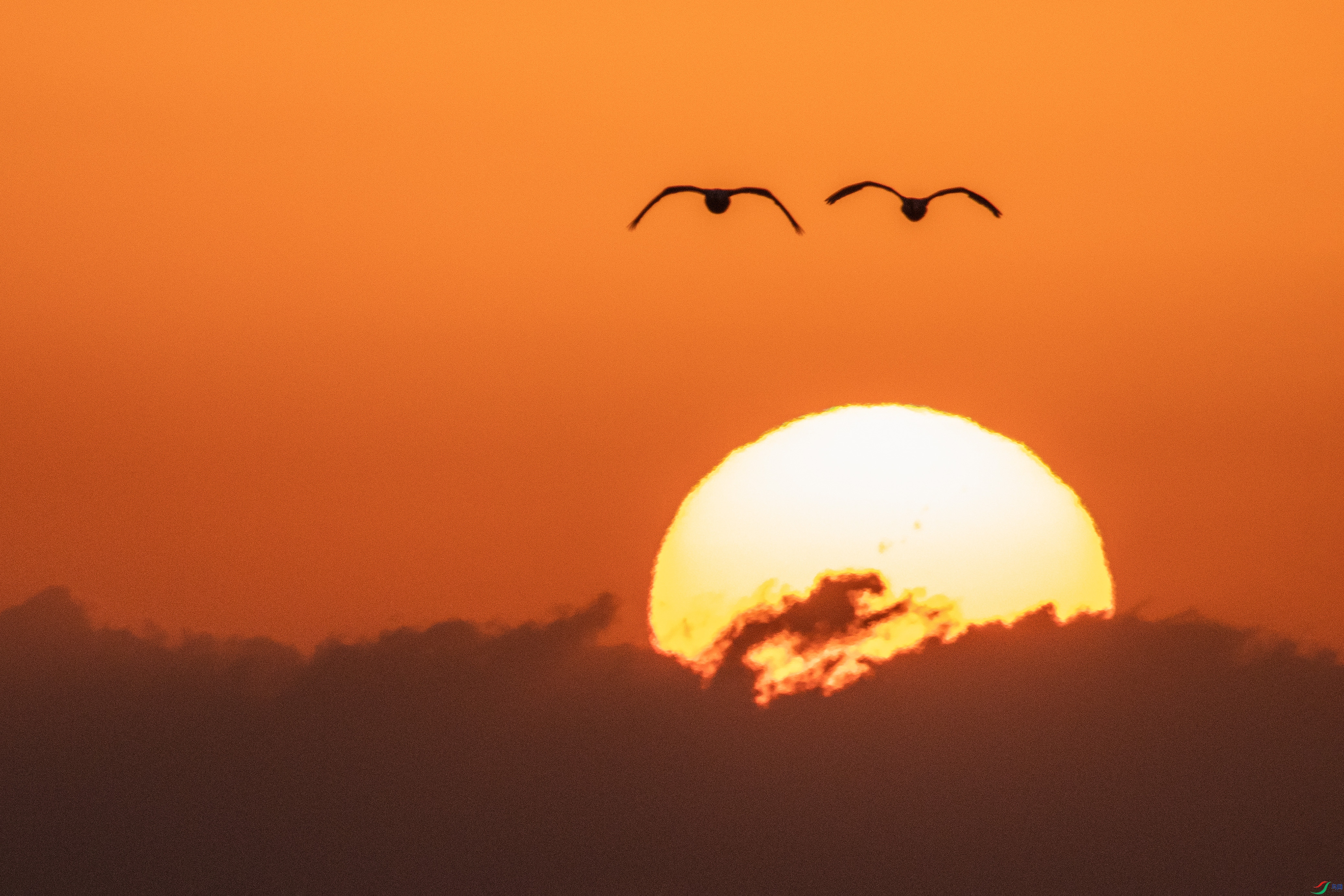 IMG_4290�ຣ26-4-3.jpg