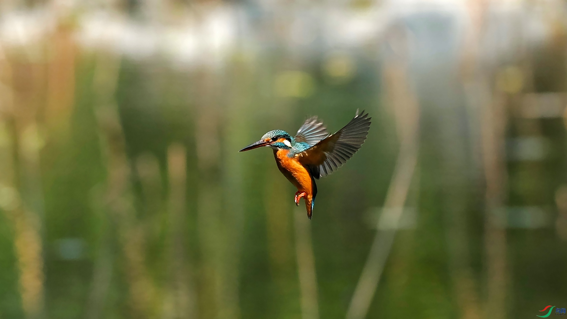 С����ͣ0X5A60369.jpg
