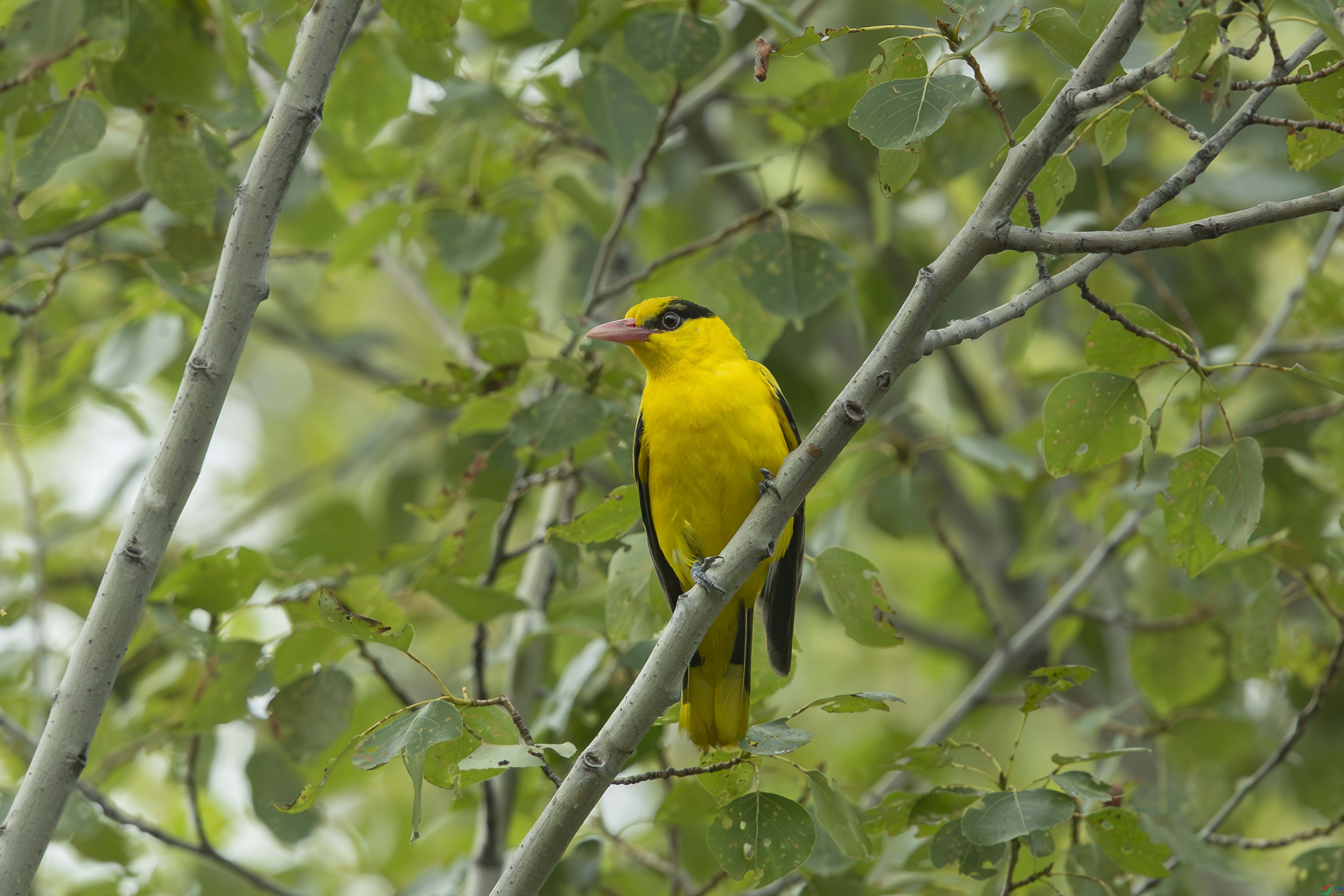 WGX_9428_1.jpg
