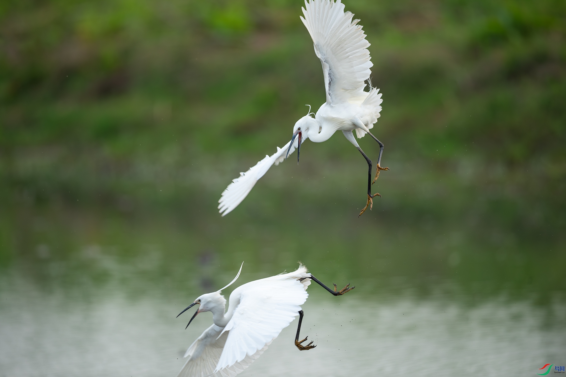 DSC_1547.jpg