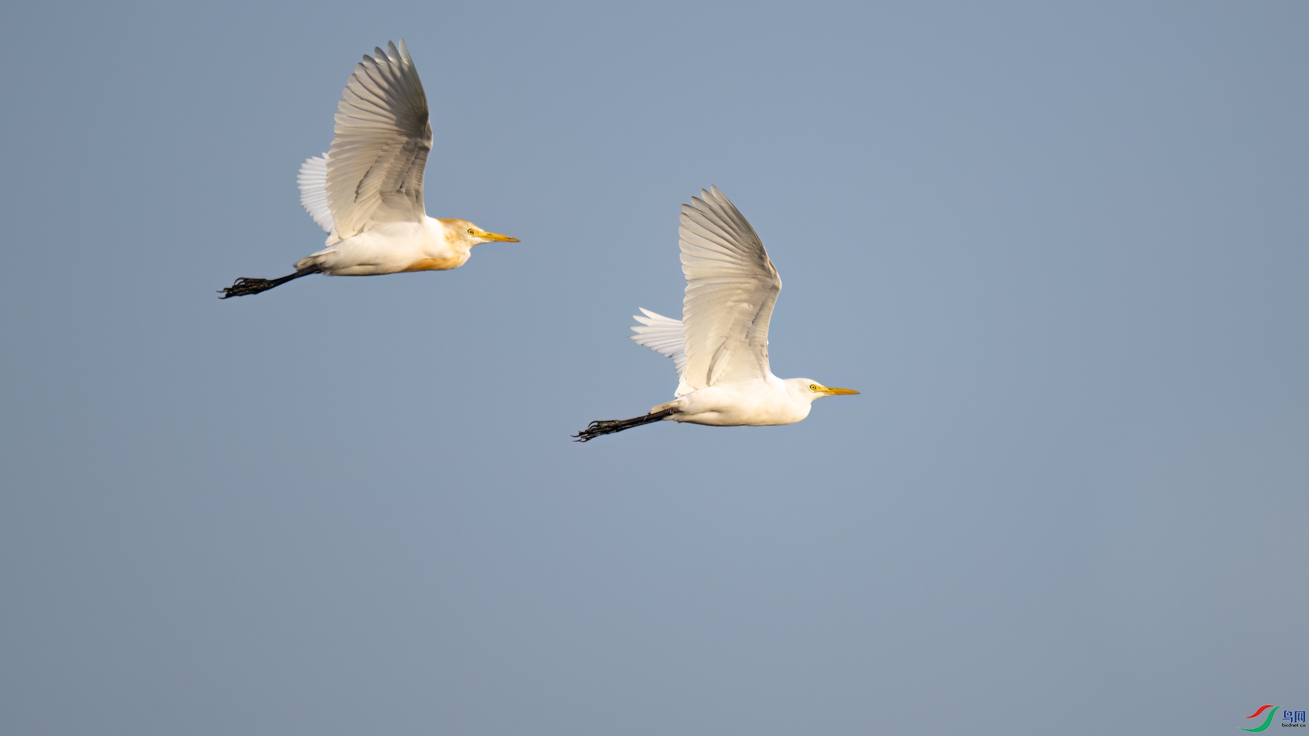 DSC_7244sen2026-2-9-01-�༭.jpg
