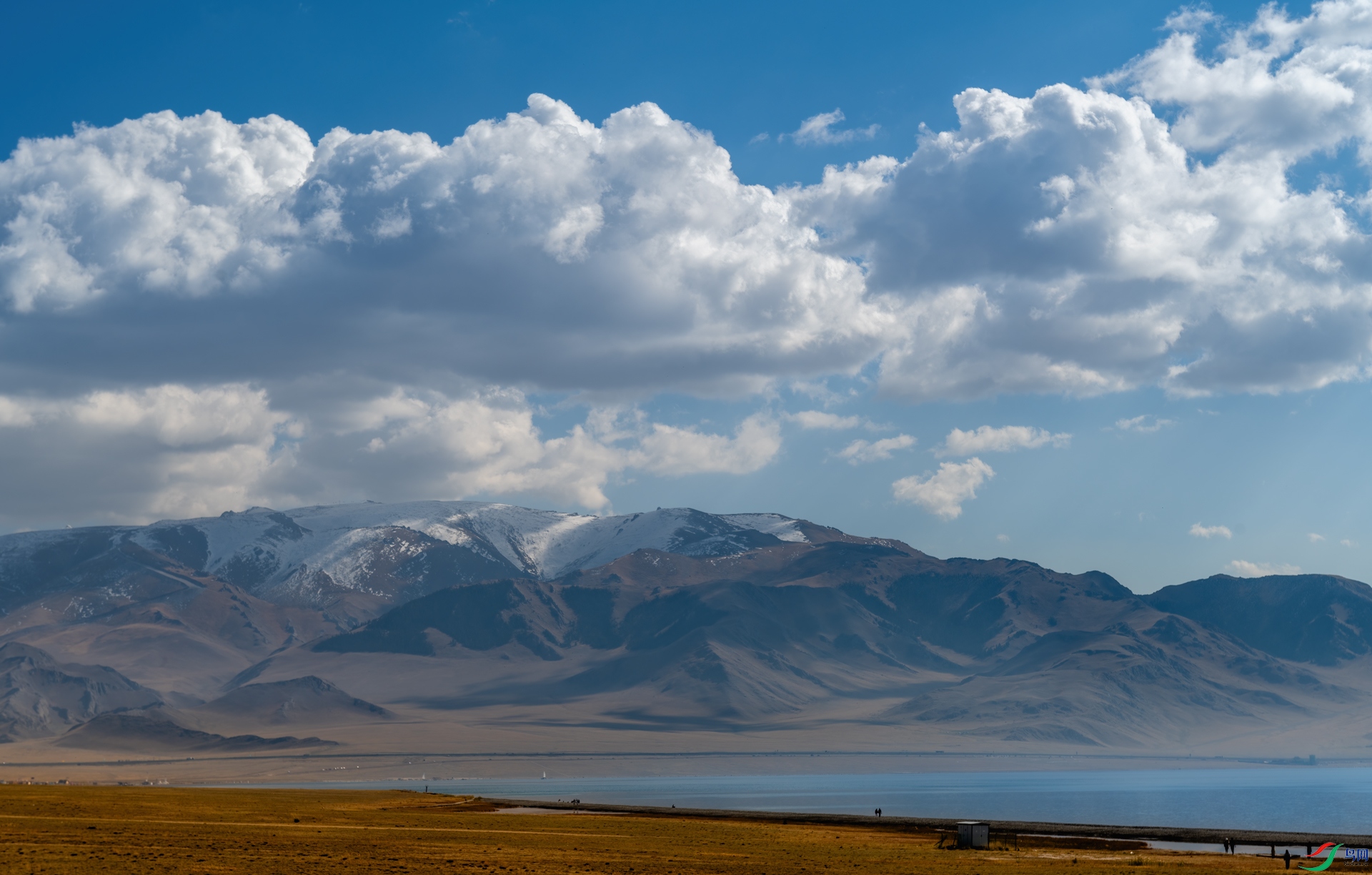 DSC_6015-1.jpg