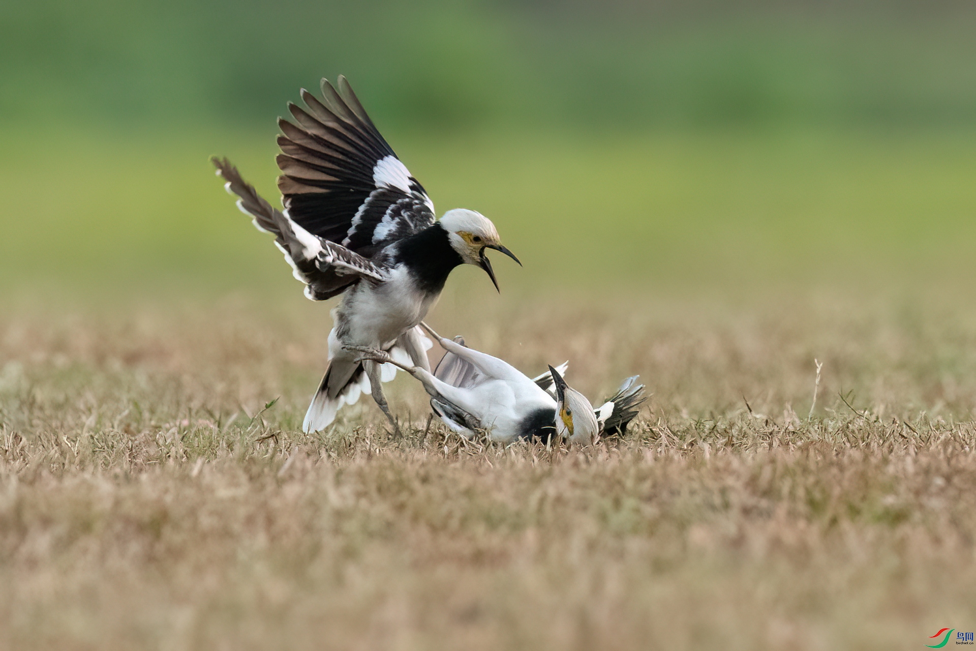 B86I5236 _����.jpg