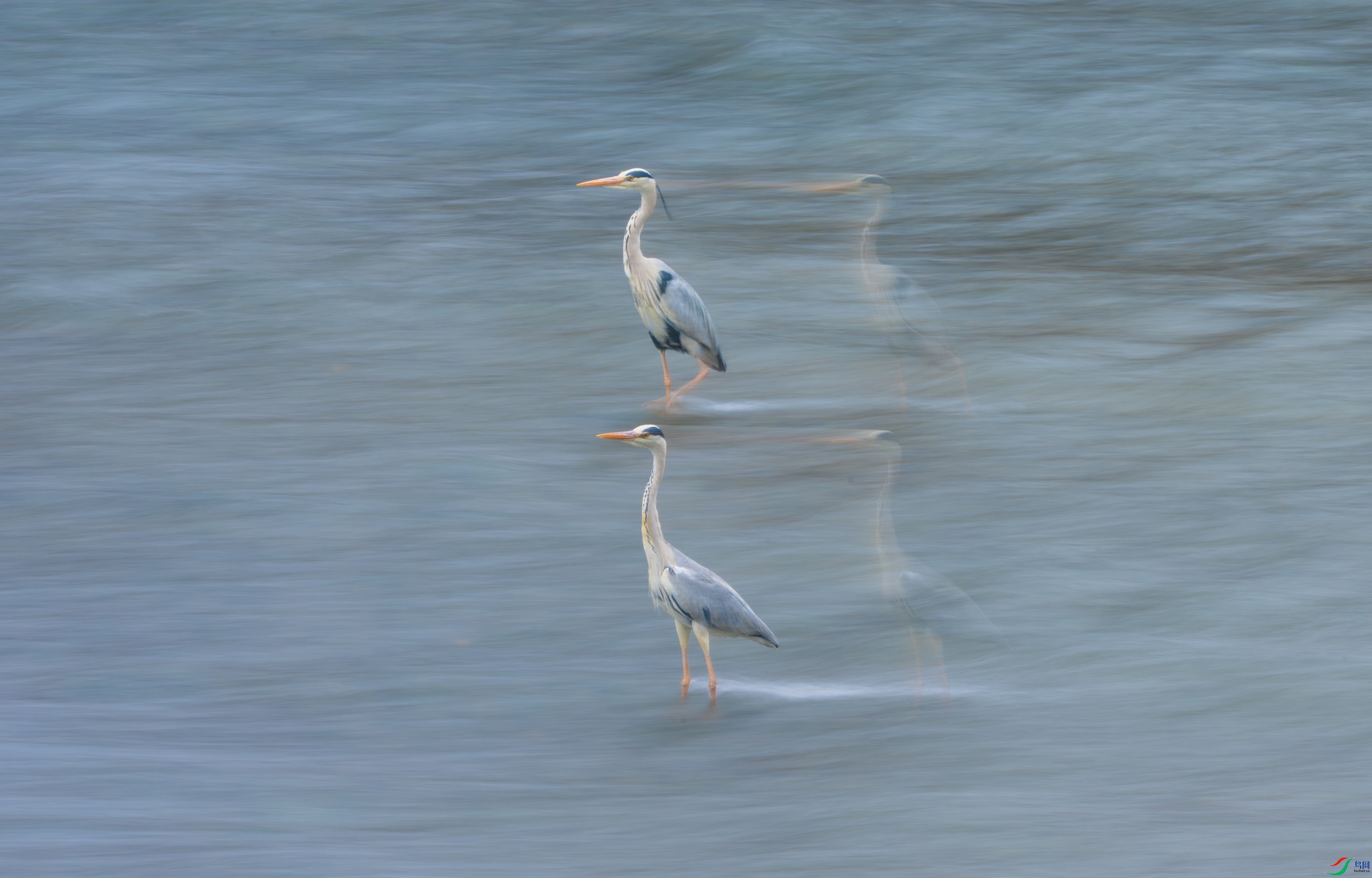 DSC_2551-11.jpg
