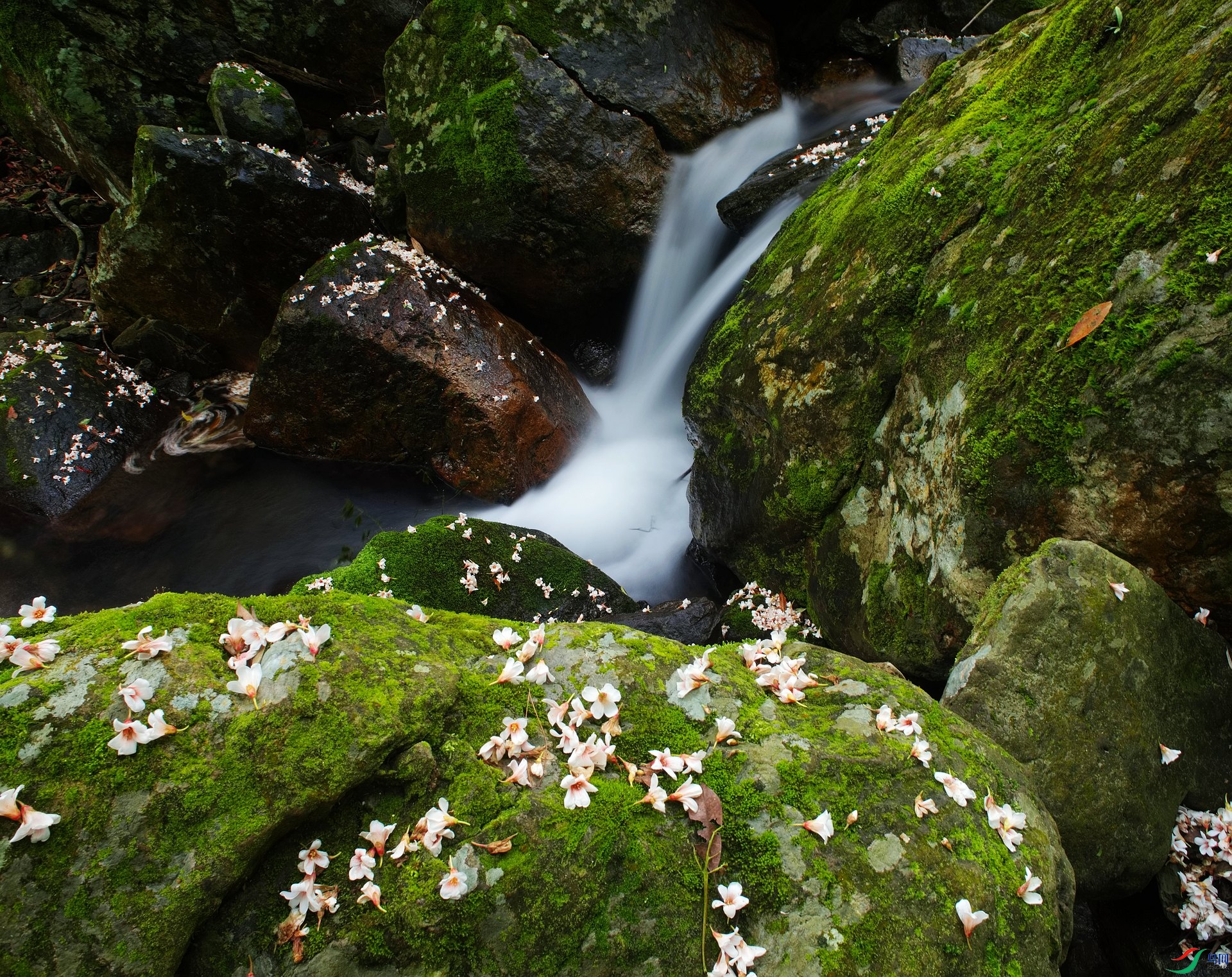 _D800338.jpg