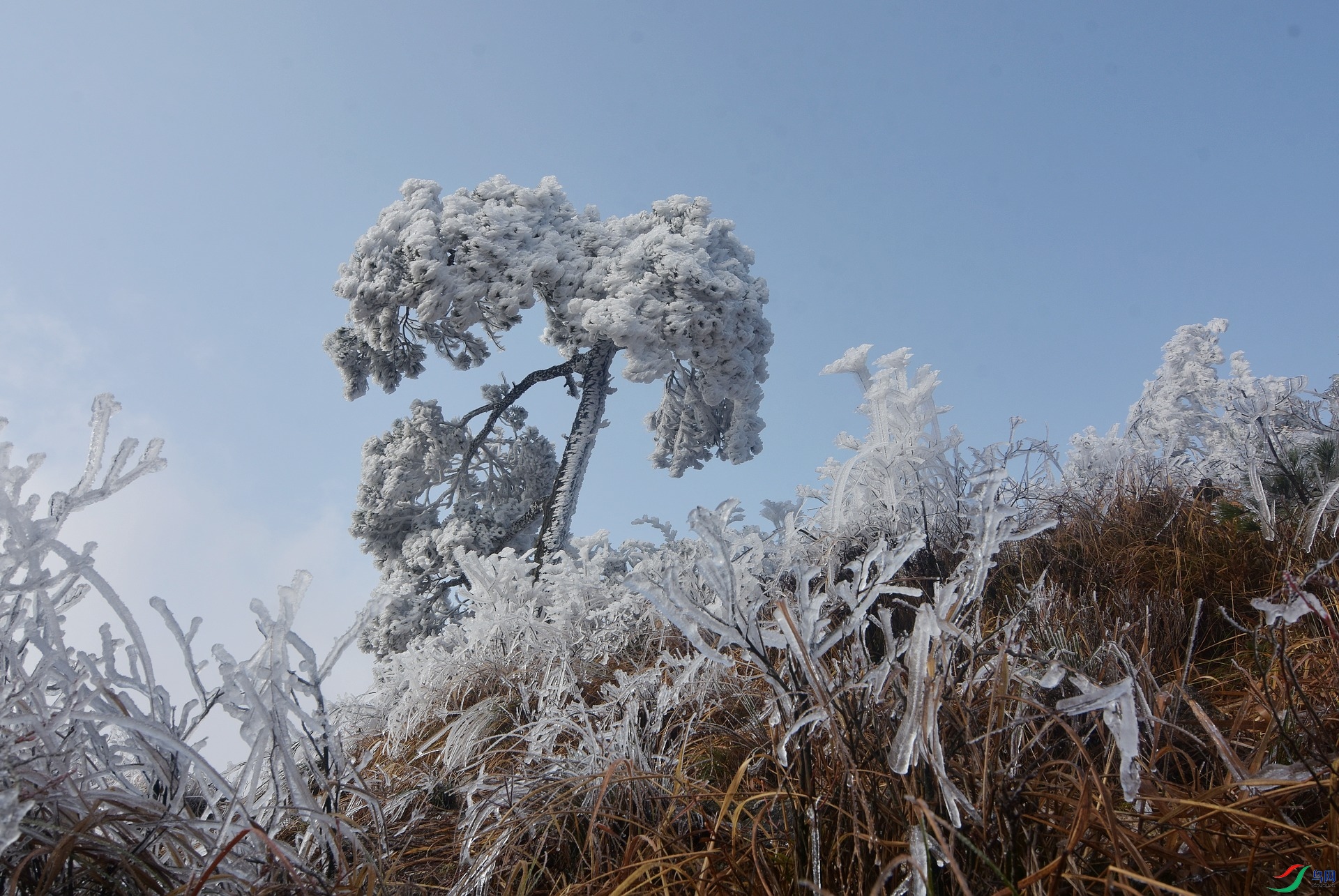 D72_4705.jpg