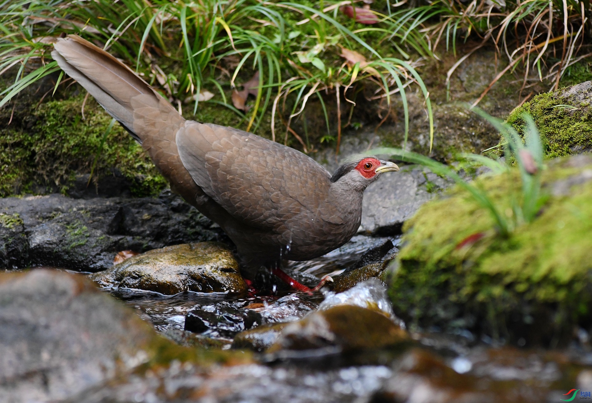 DSC_9302.jpg