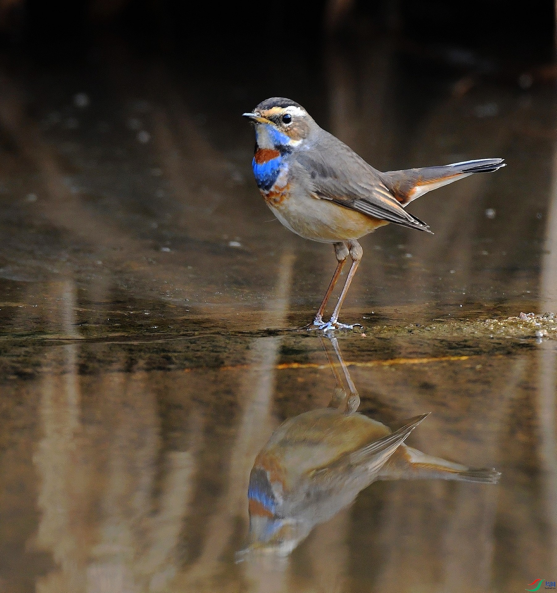 DSC_7309.jpg