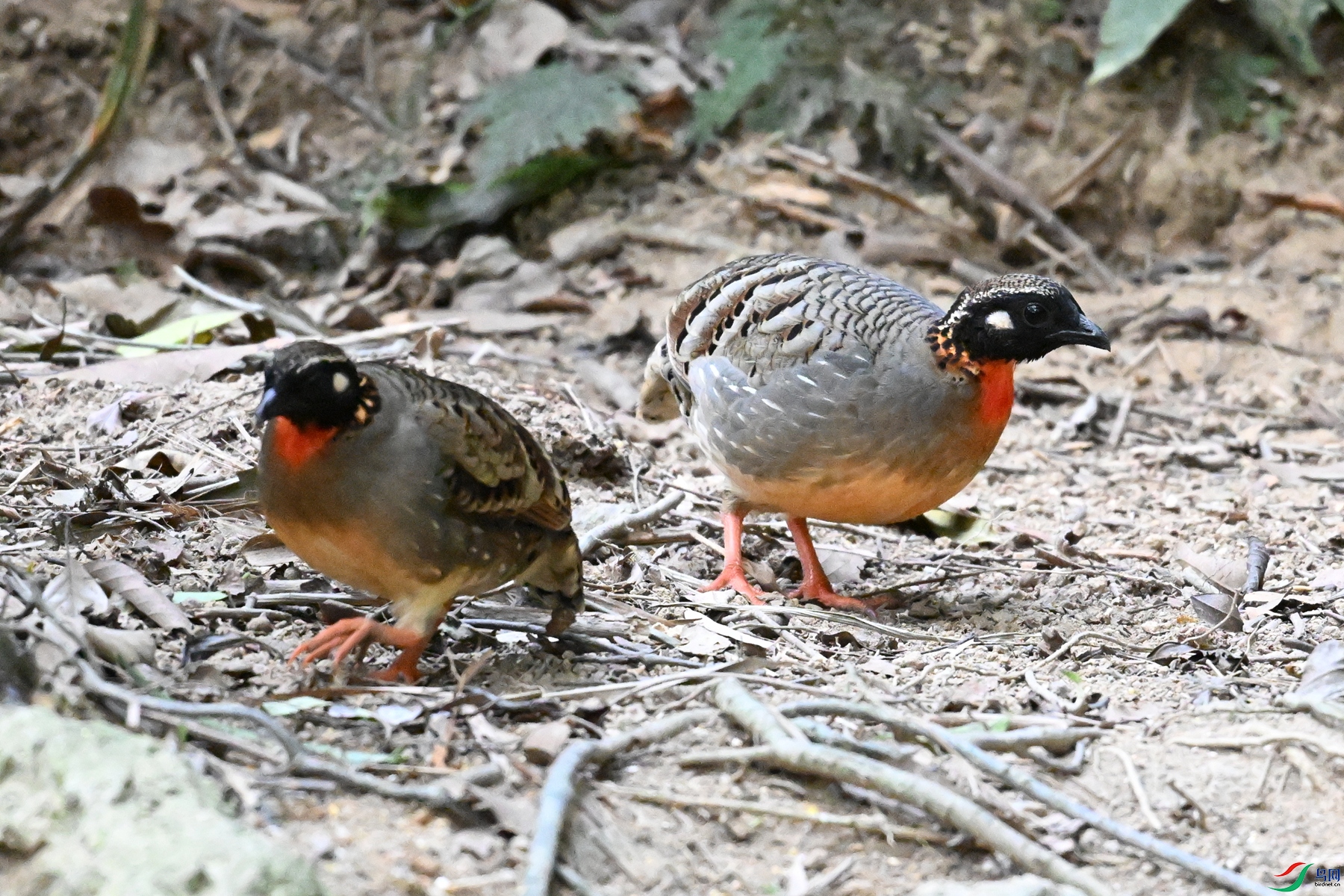 DSC_7359.JPG