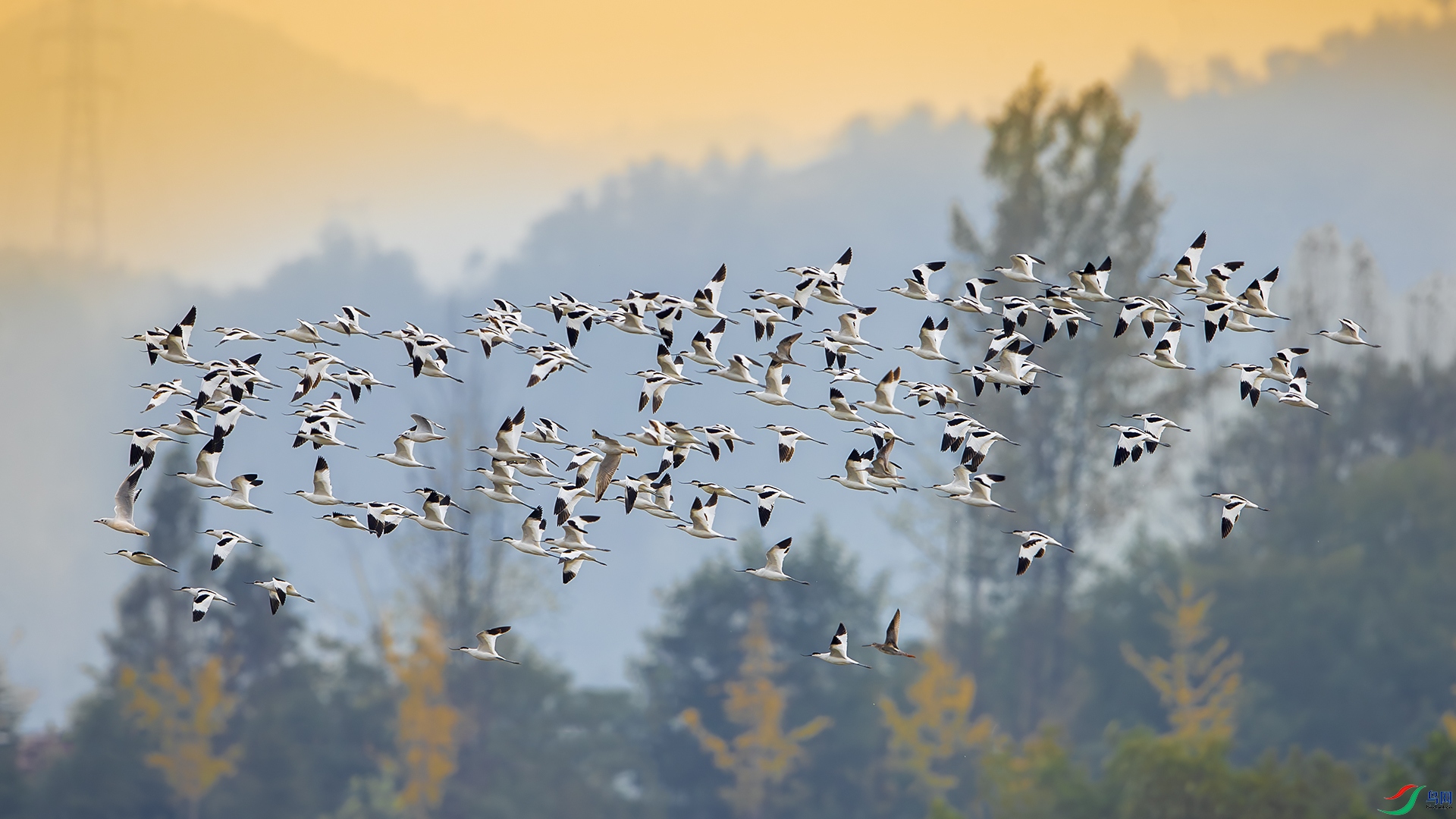 _U3I1115 ����.jpg