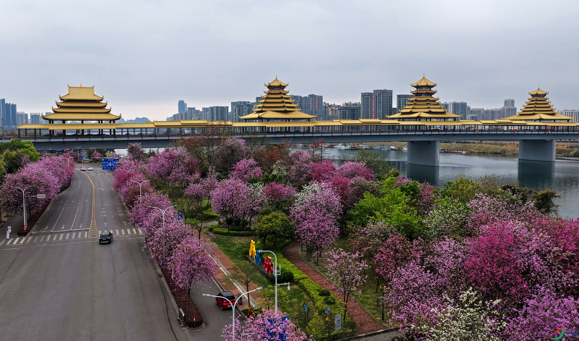 DJI_20260325091418_0089_D ����1.jpg