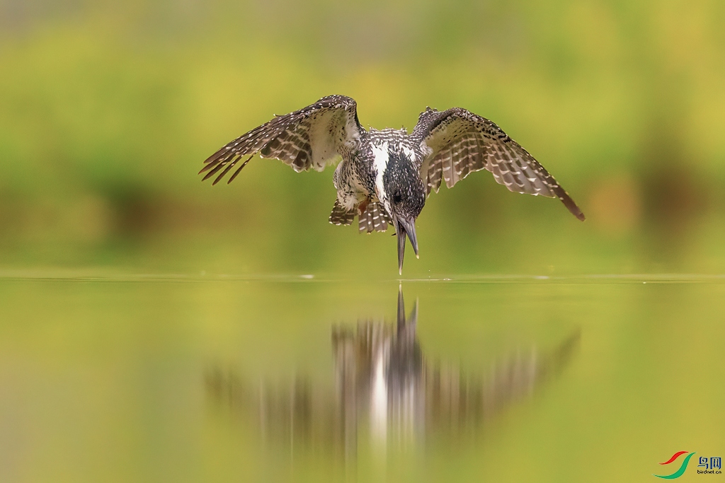 0G6A3071 ���� 2.jpg