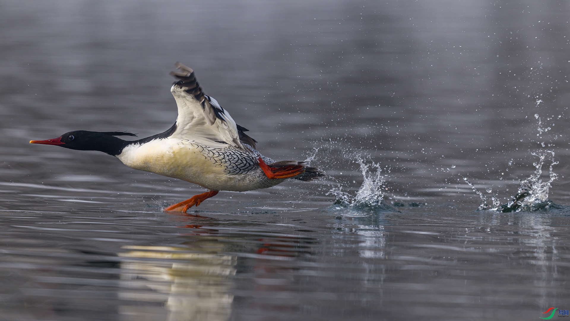 051A6324 ����n.jpg