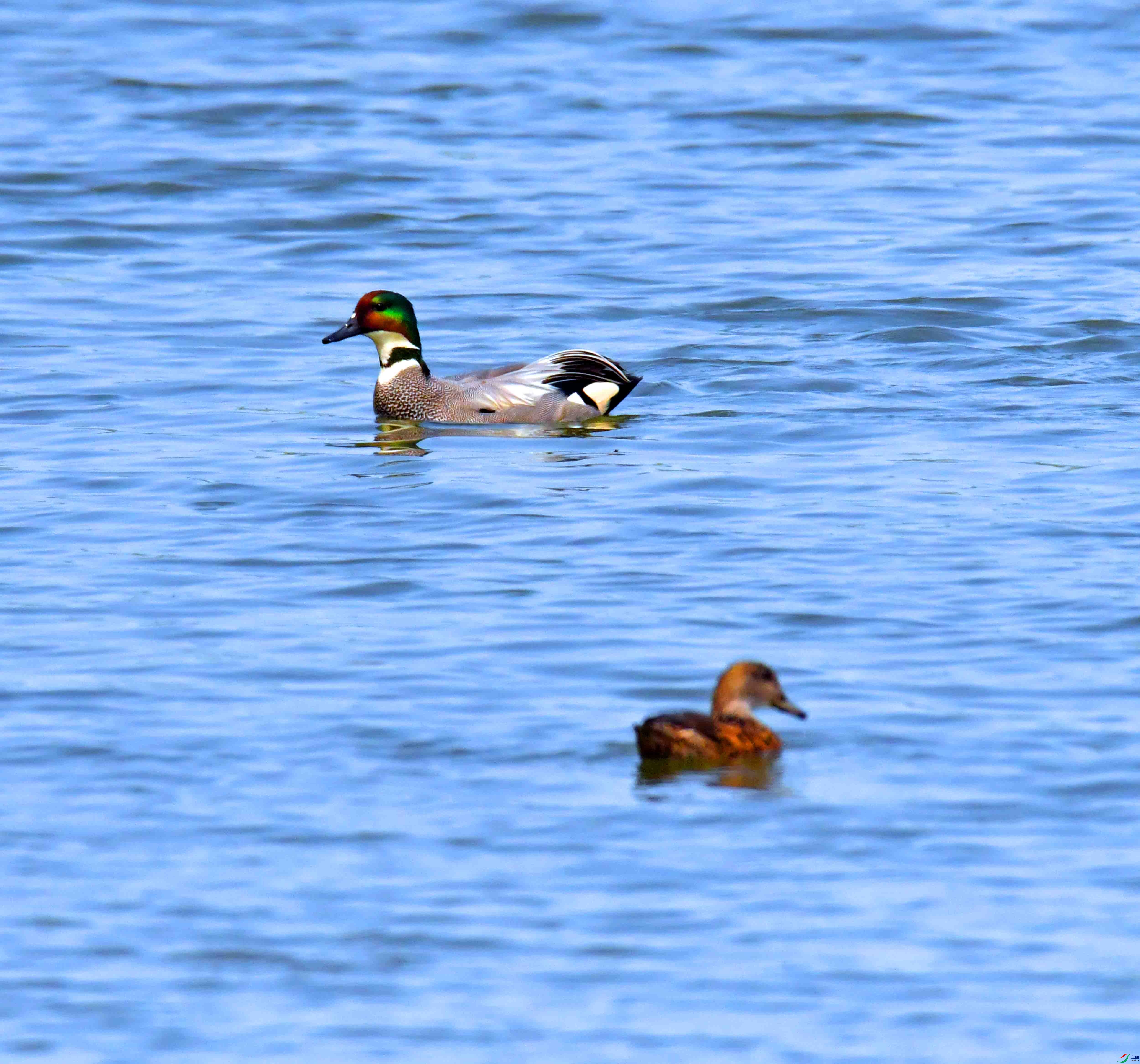 DSC_0397.JPG