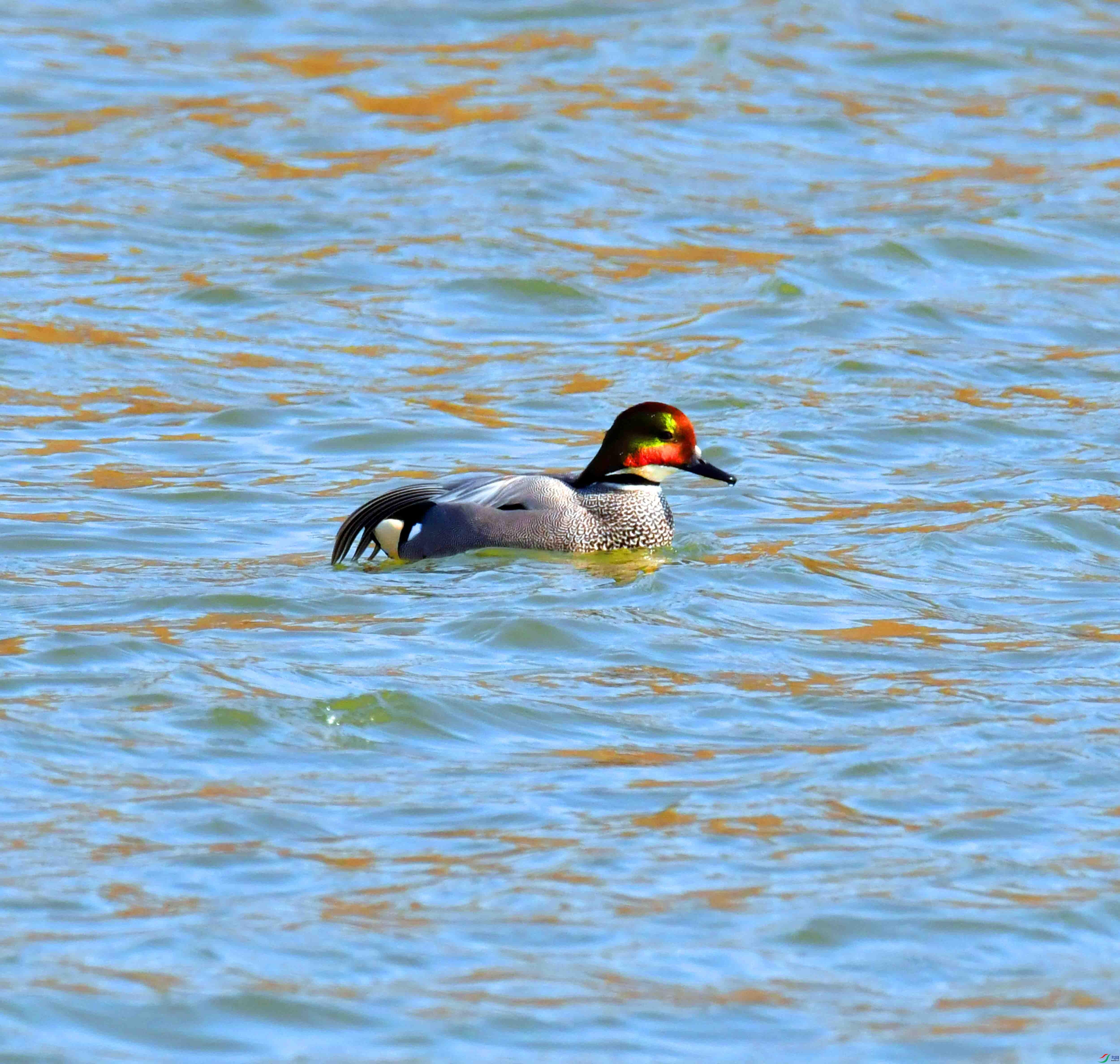 DSC_6571.JPG