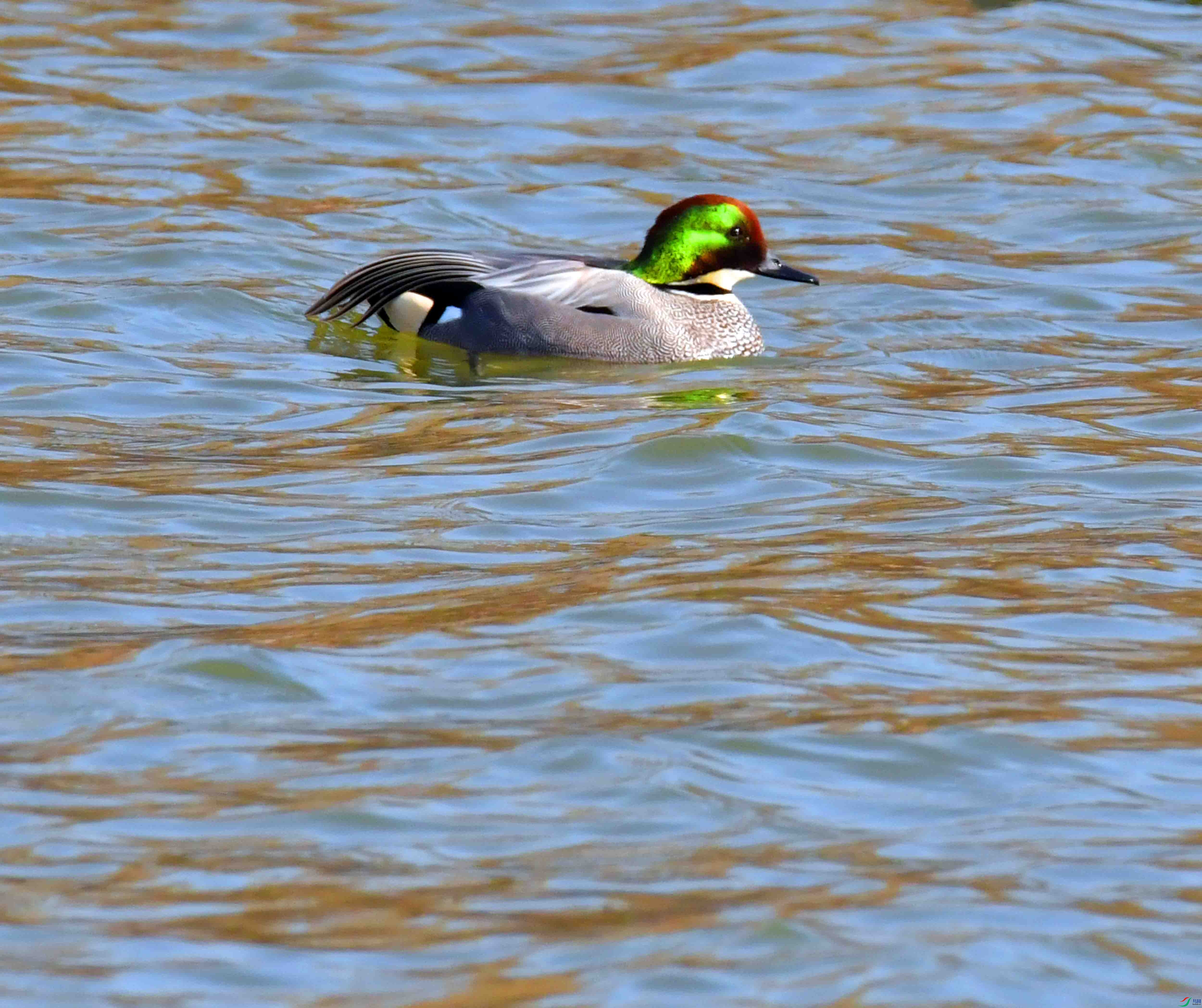 DSC_6582.JPG