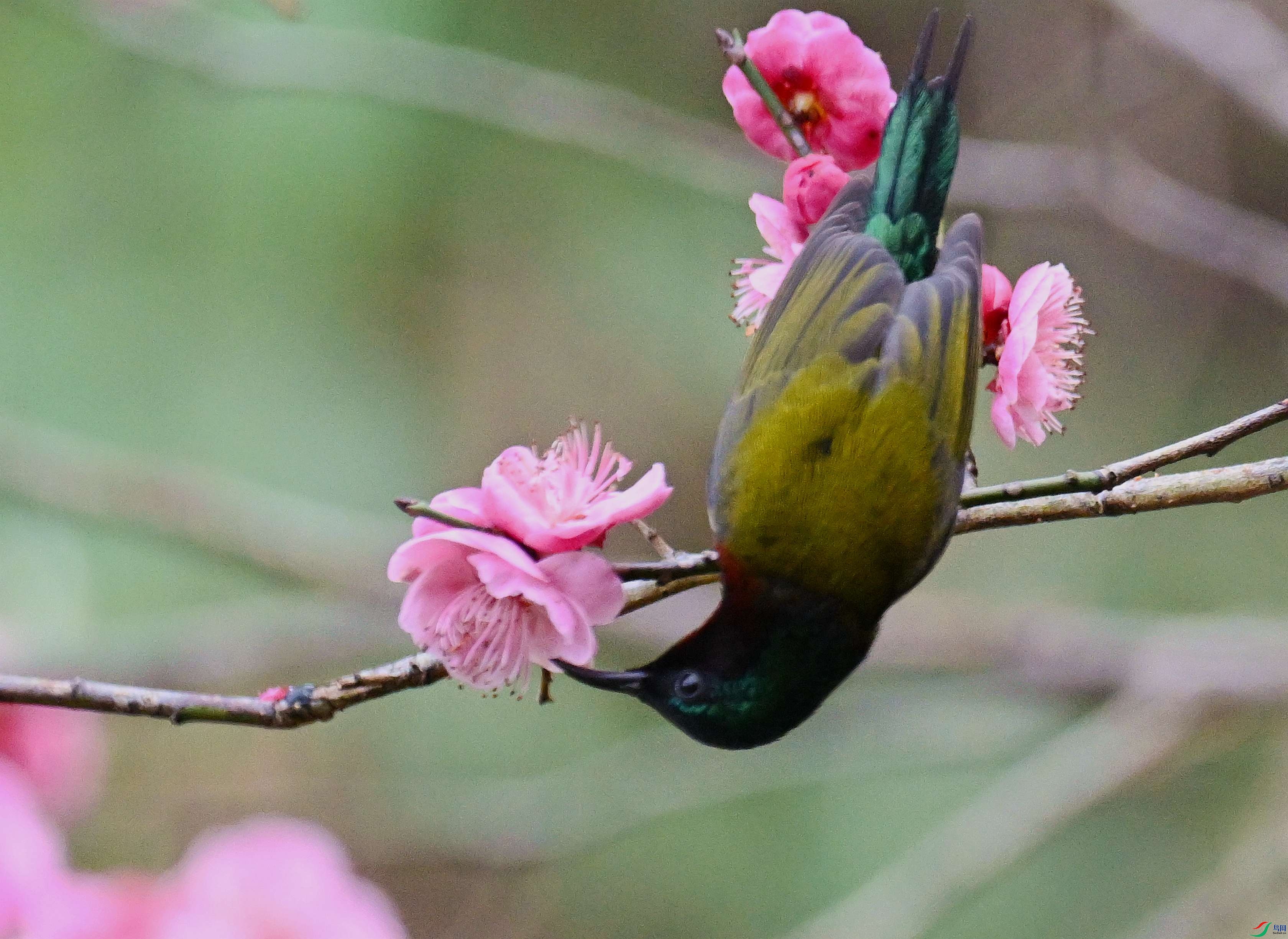DSC_3171.jpg