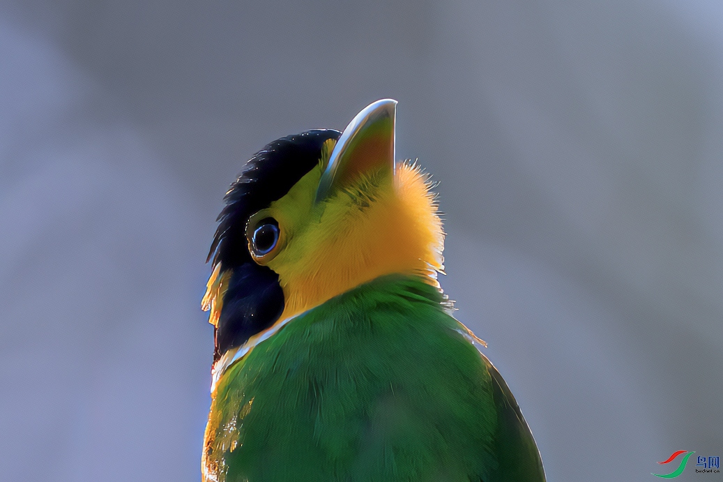 DSC_3836-21.jpg
