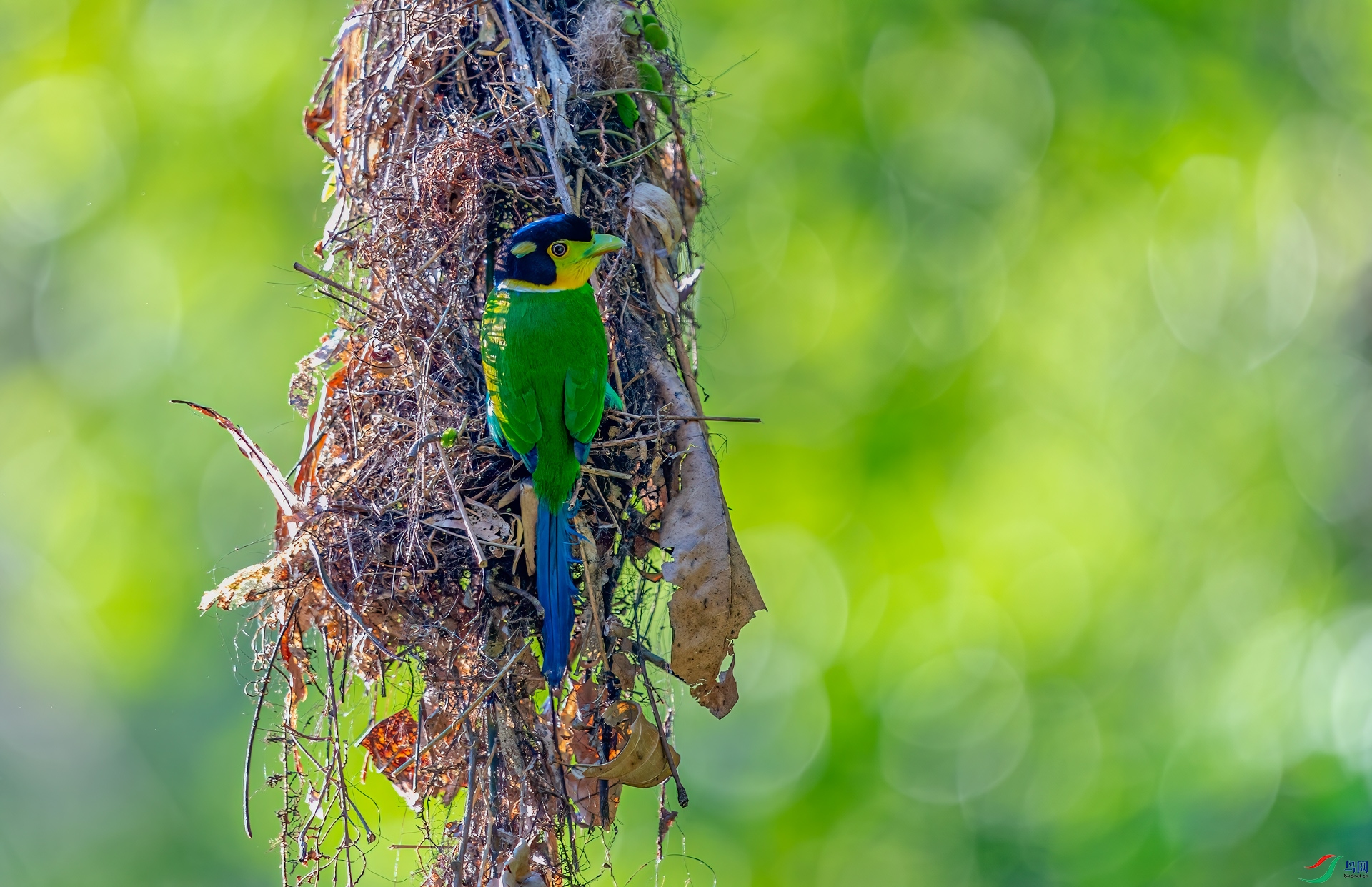 DSC_4106-11.jpg