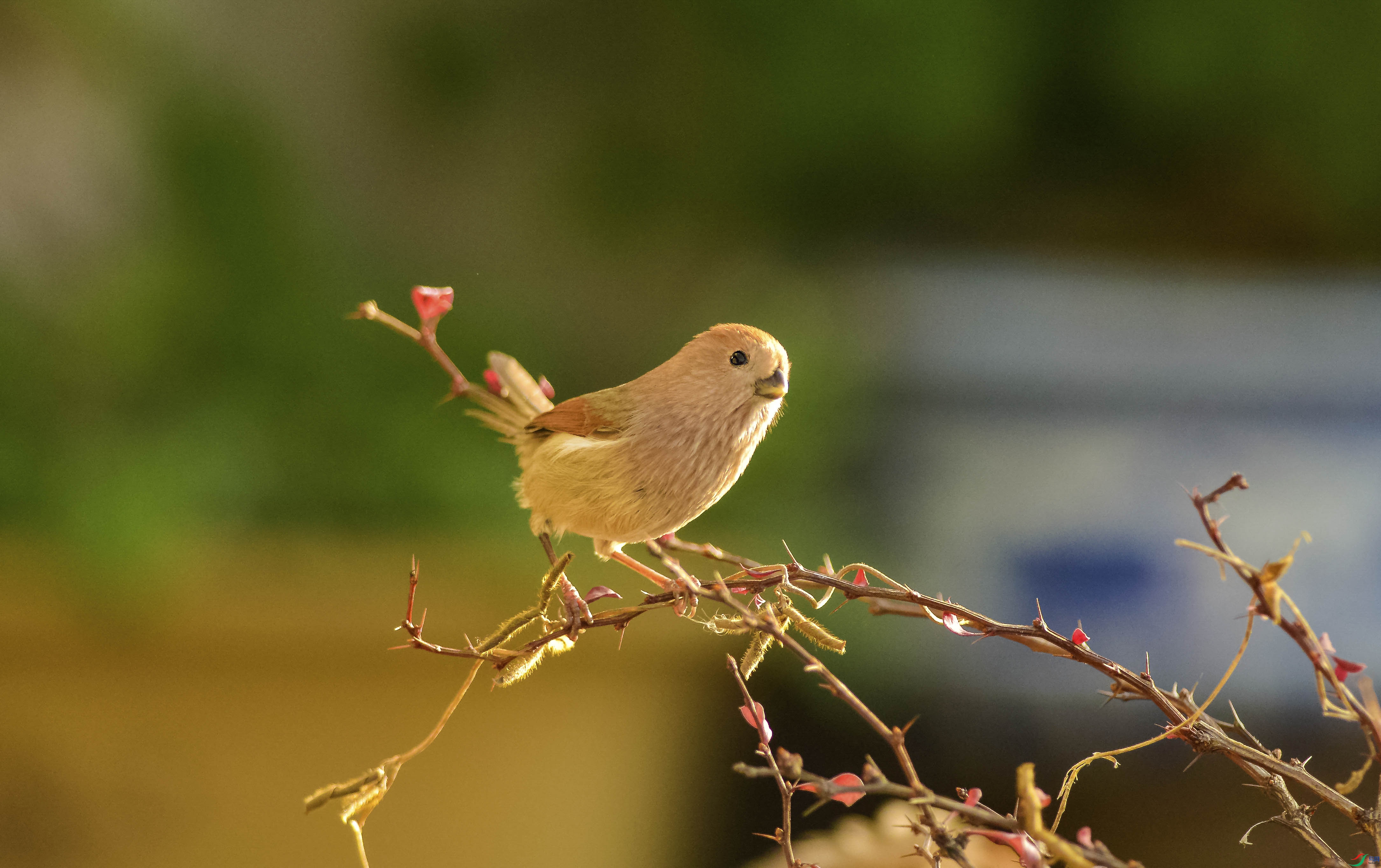 DSC_5897.jpg