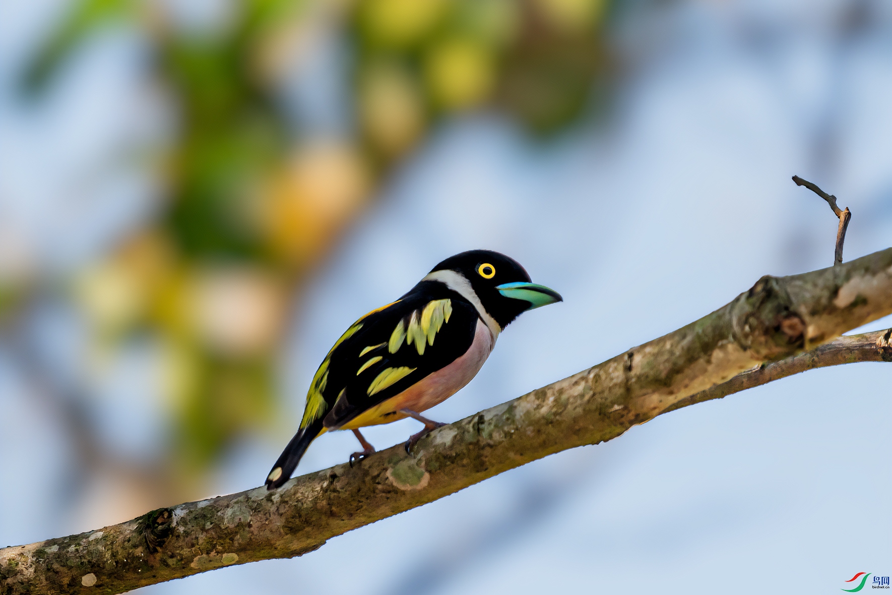DSC_8155-11.jpg