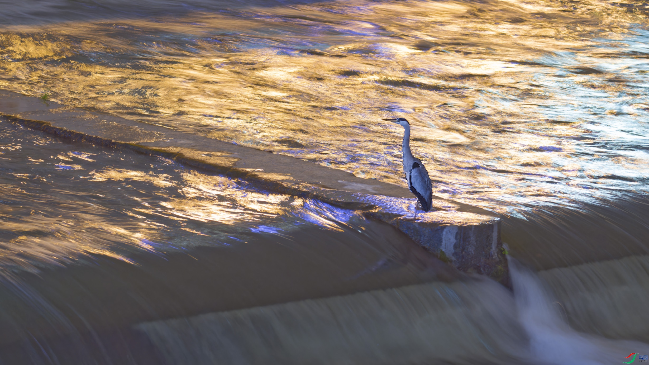 DSC_1708_DxO.jpg