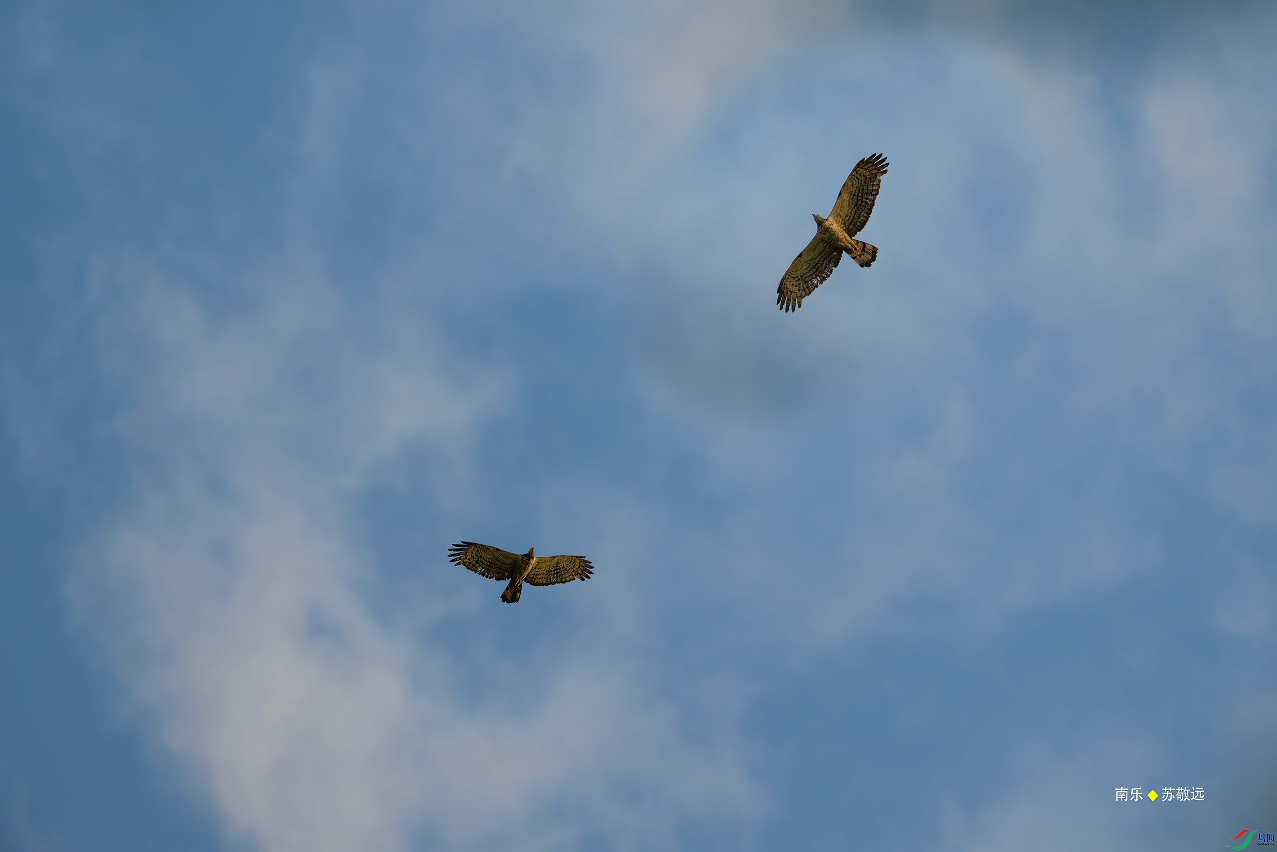 _DSC6809-DxO_С.jpg