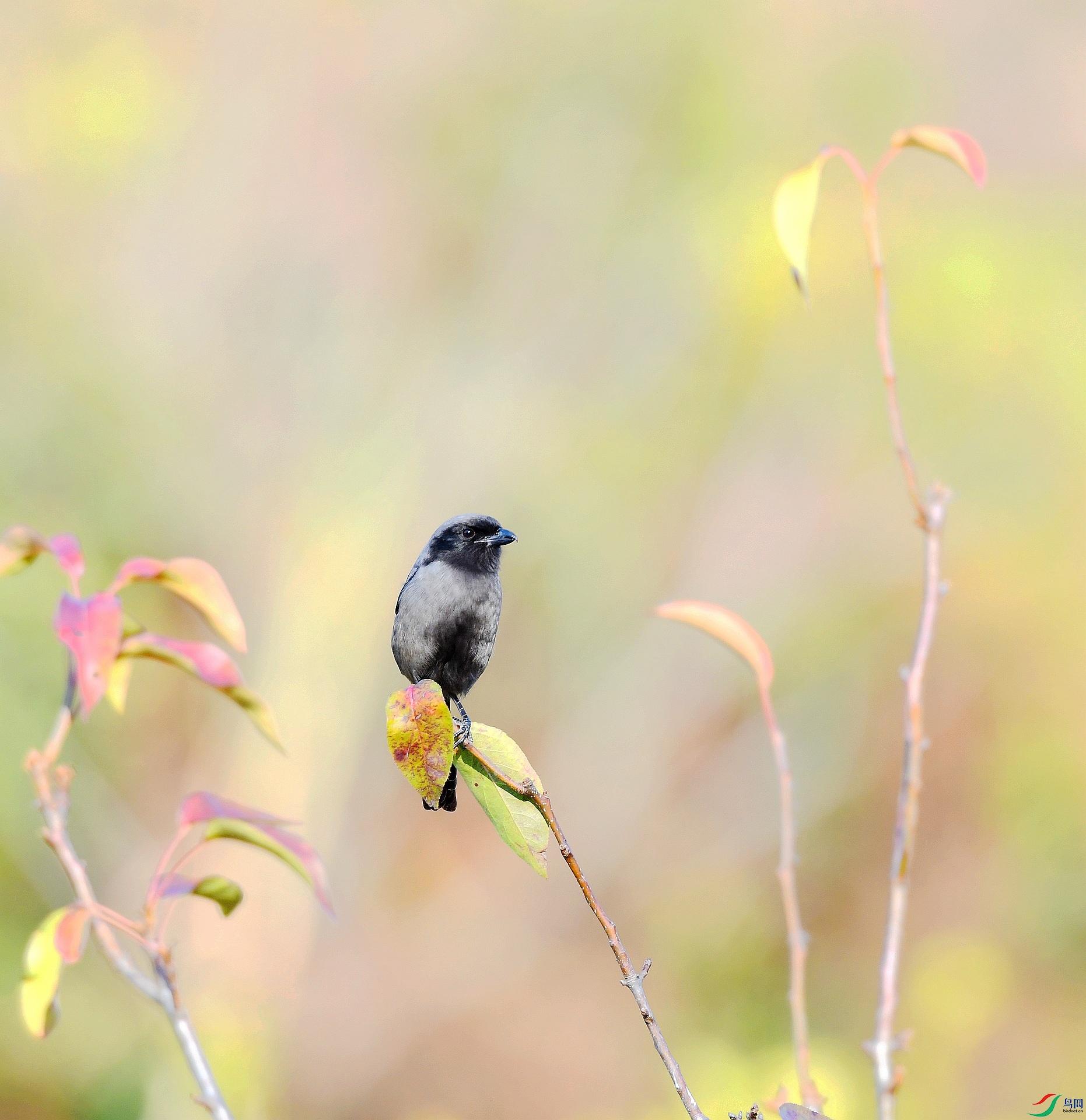 DSC_5154.jpg