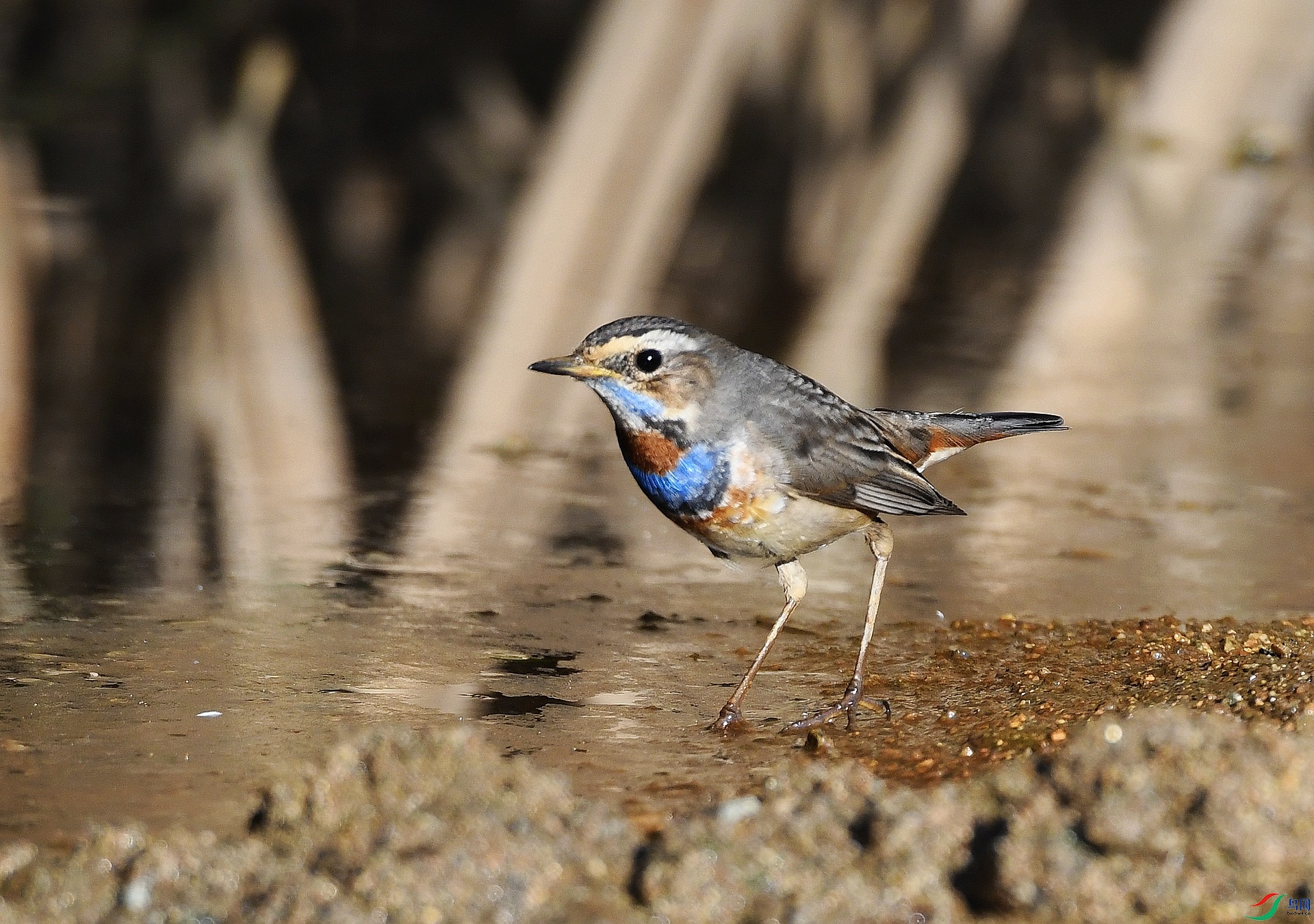 DSC_5171.jpg