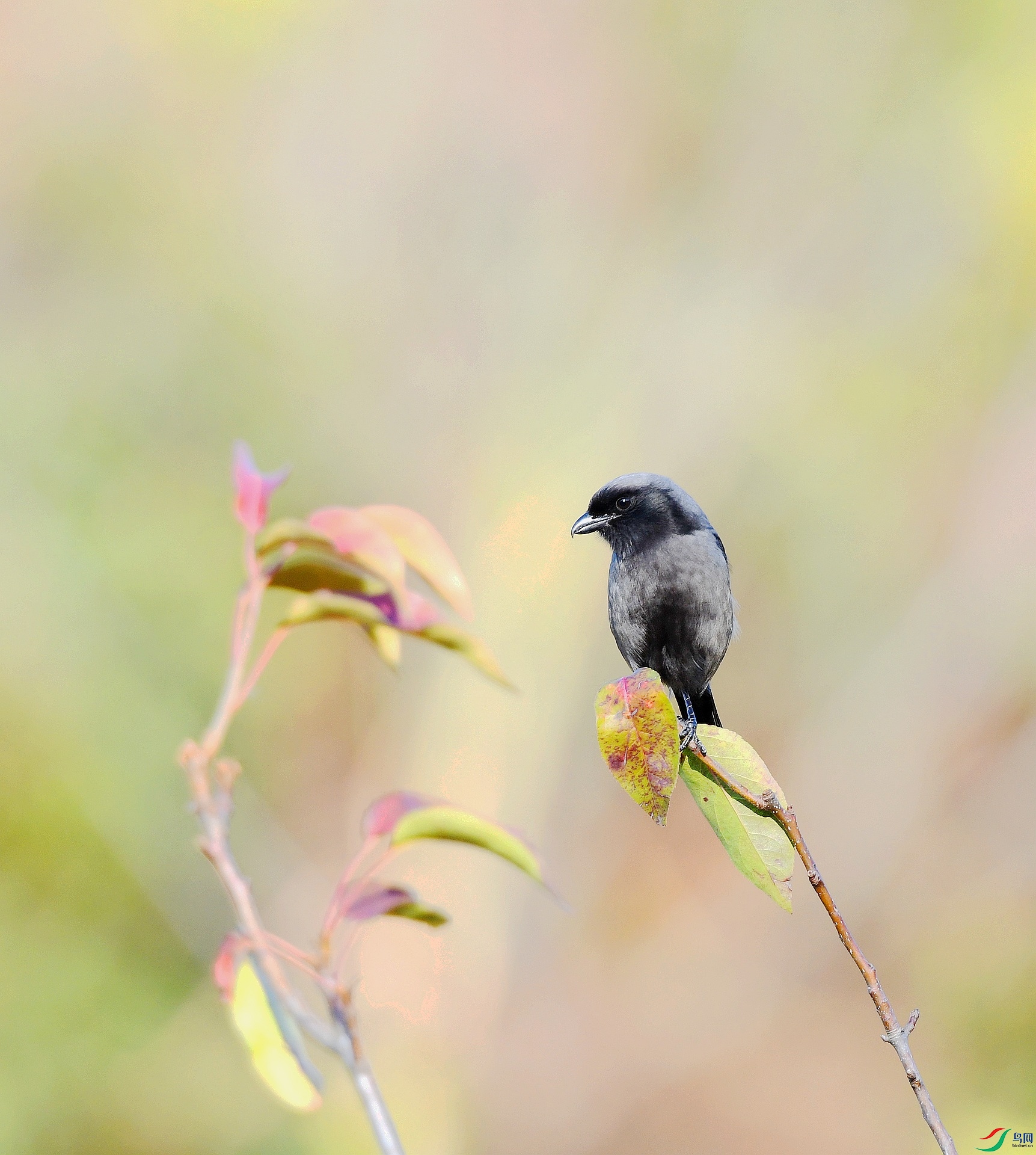 DSC_5159.jpg
