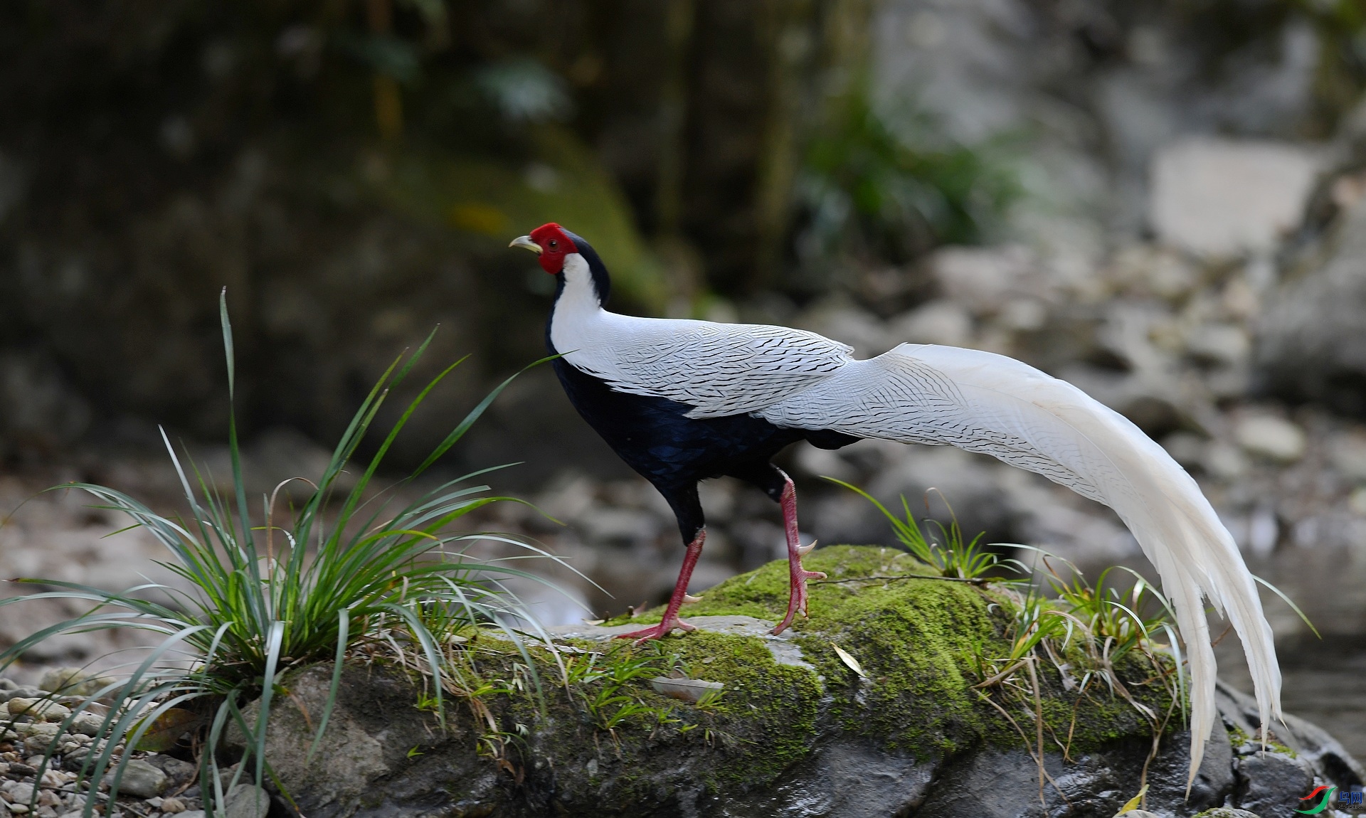 DSC_8043.jpg