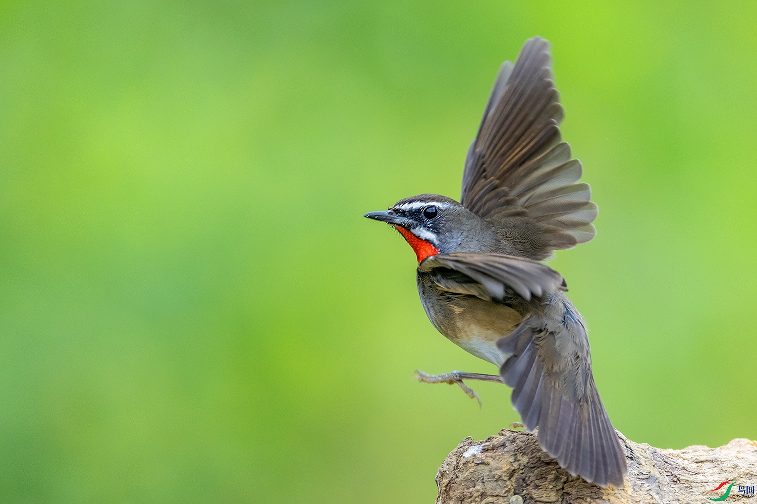 0F7A6952 ����.jpg