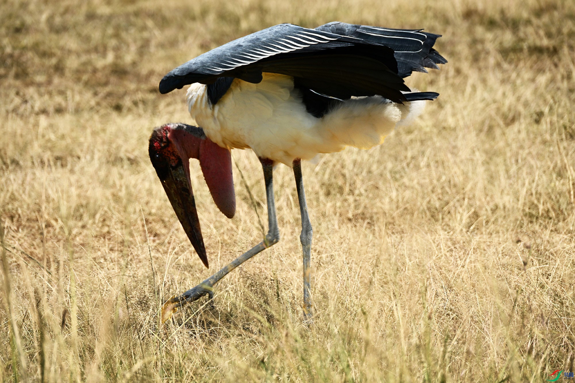 DSC_9689_.jpg