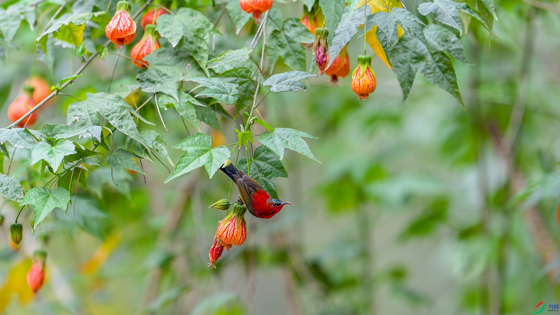 DSC_4219.jpg