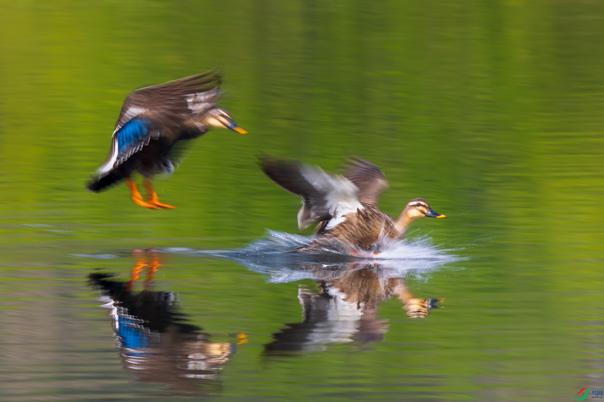 _F9A0484 ����.jpg