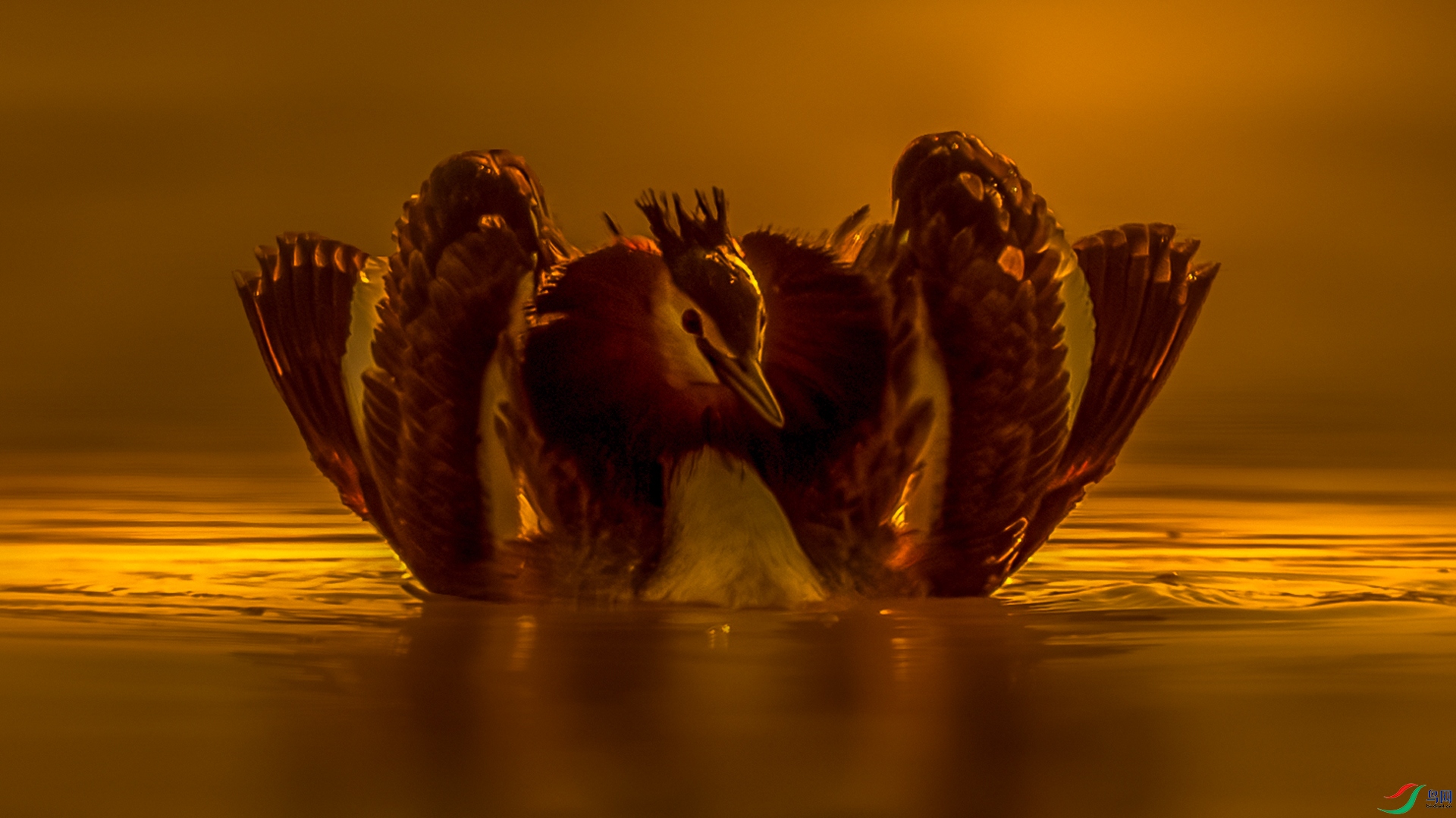 _16A6717-1.jpg