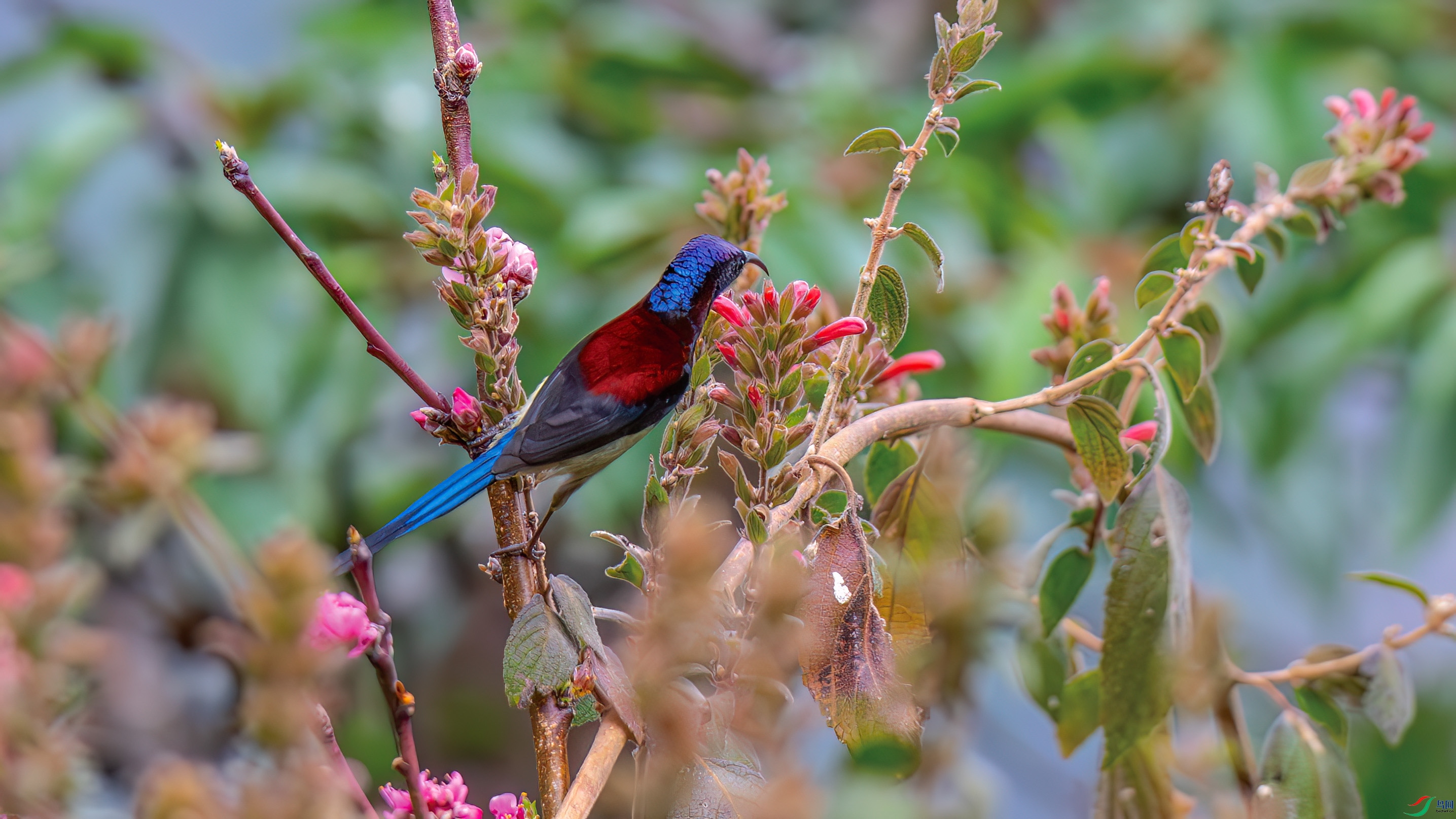 DSC_7339.jpg