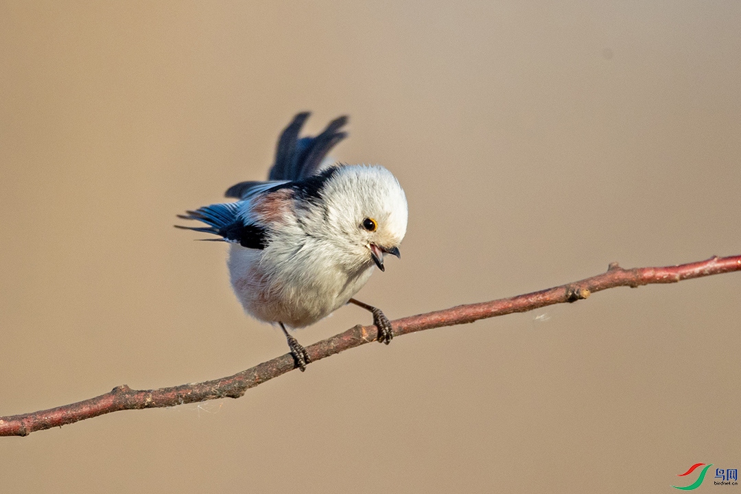 BN5I7202 ���� 2.jpg