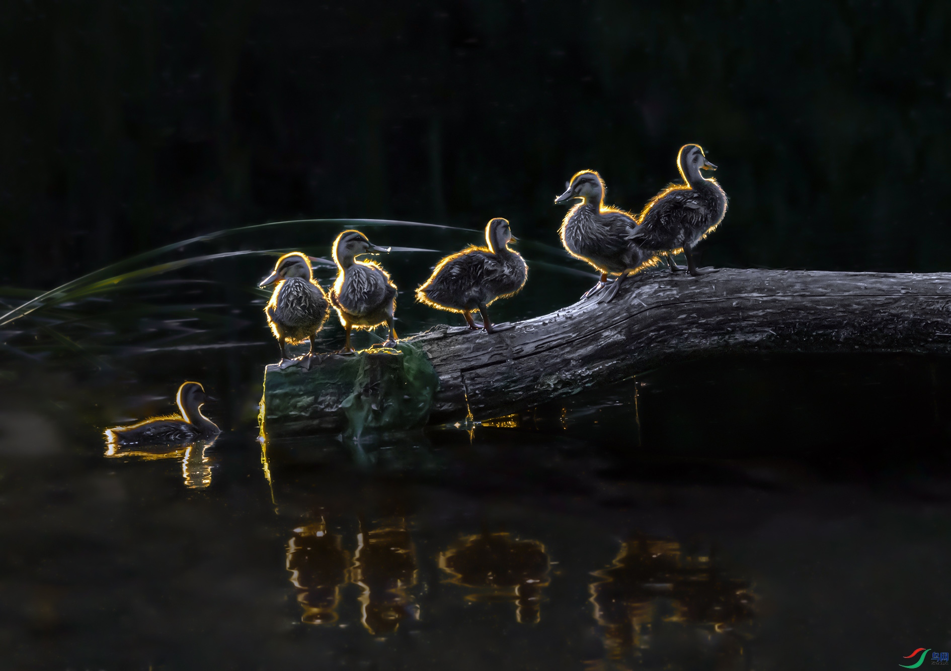 DSC_0366_��ͼ�� ����.jpg