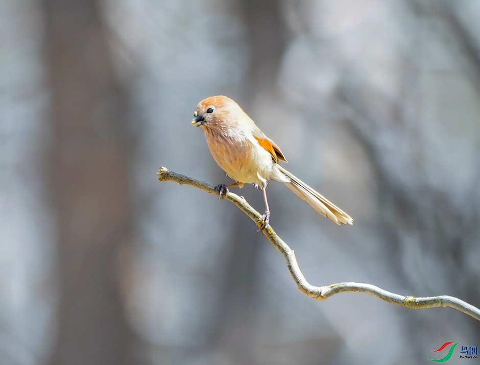 1775011865566.jpg