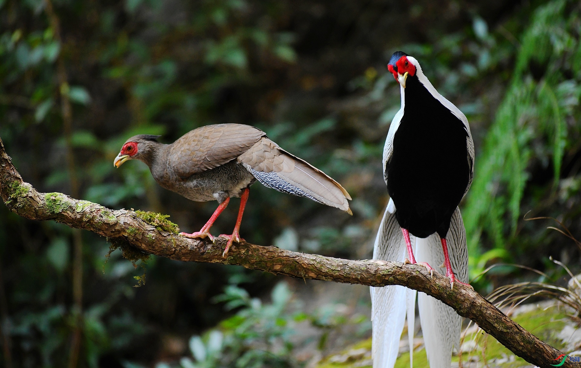 DSC_8304.jpg