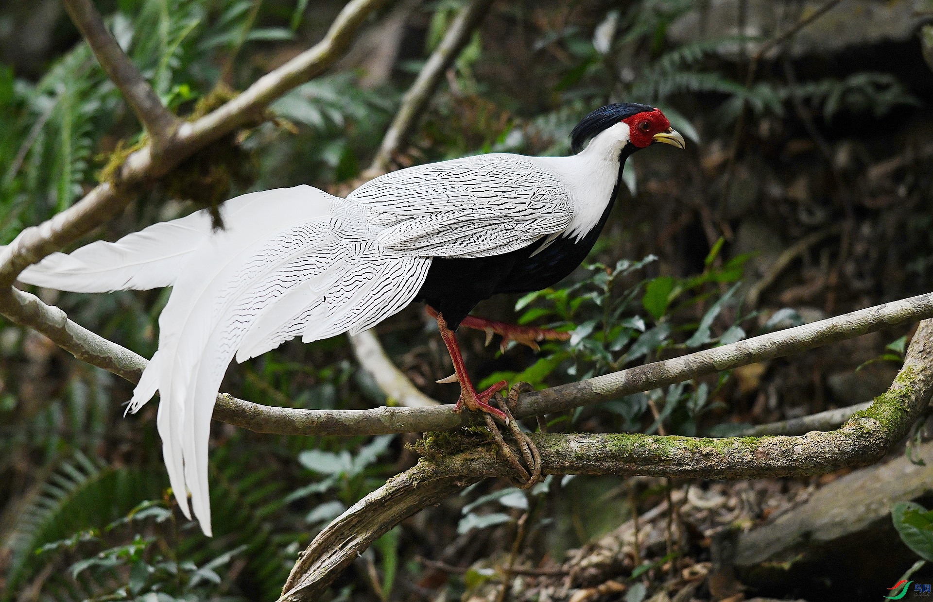 DSC_9119.jpg