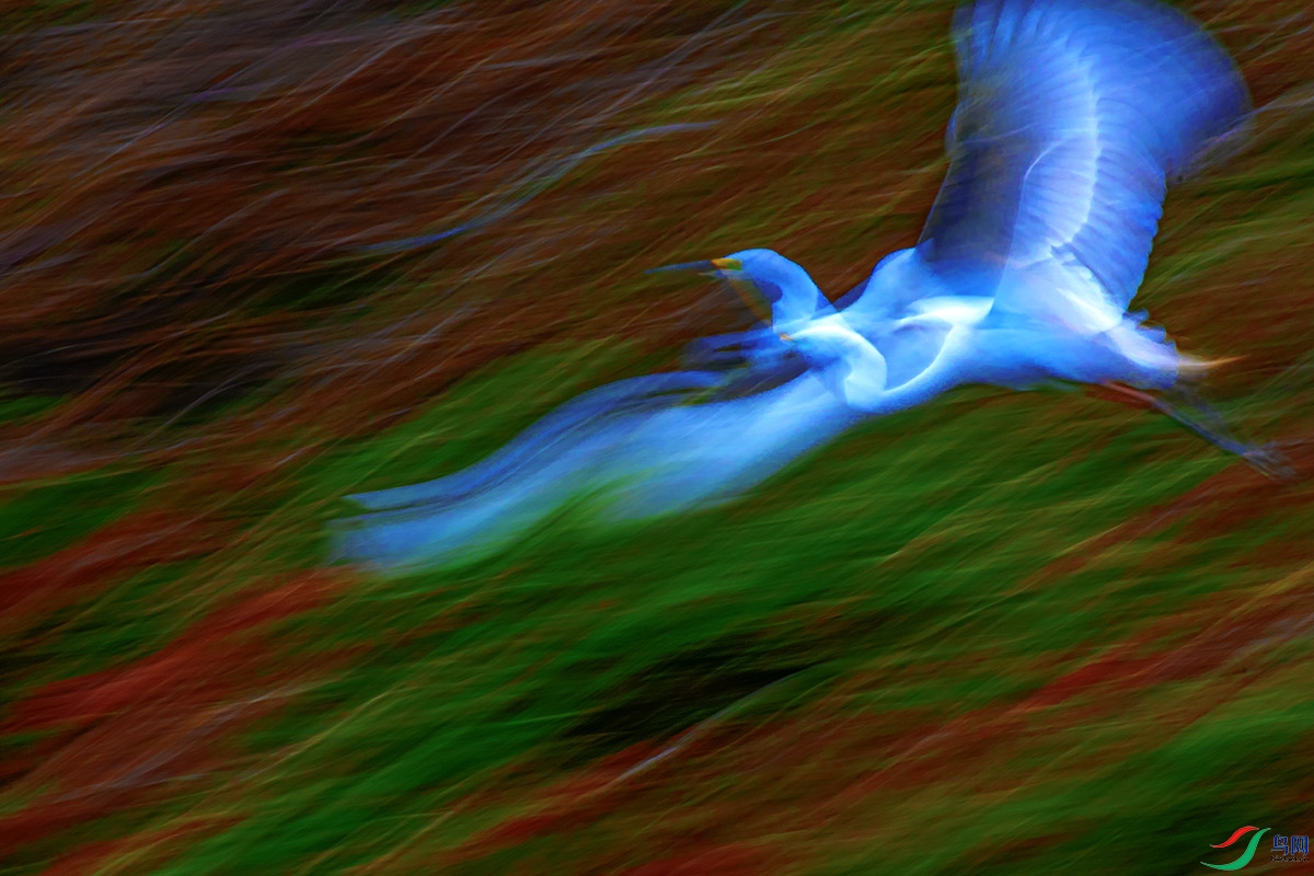 DSC_0738-����ǿ.jpg