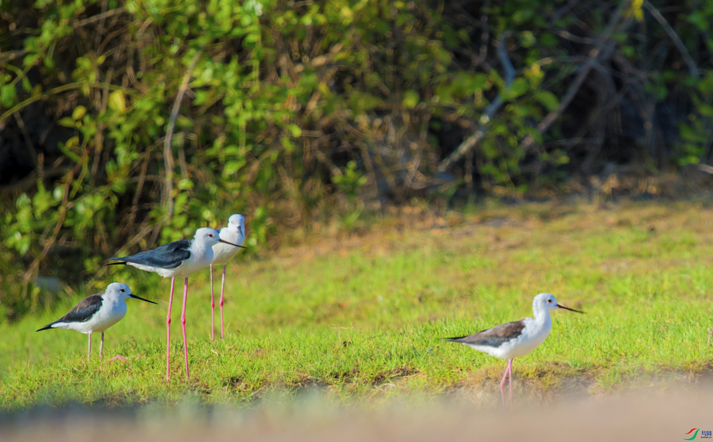DSC_3261.jpg